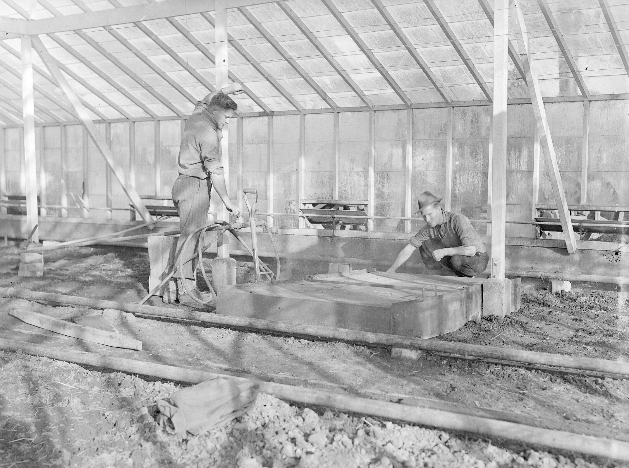 Greenhouse Soil Preparation Activity , 1960s (Blackmore Neg 5980)