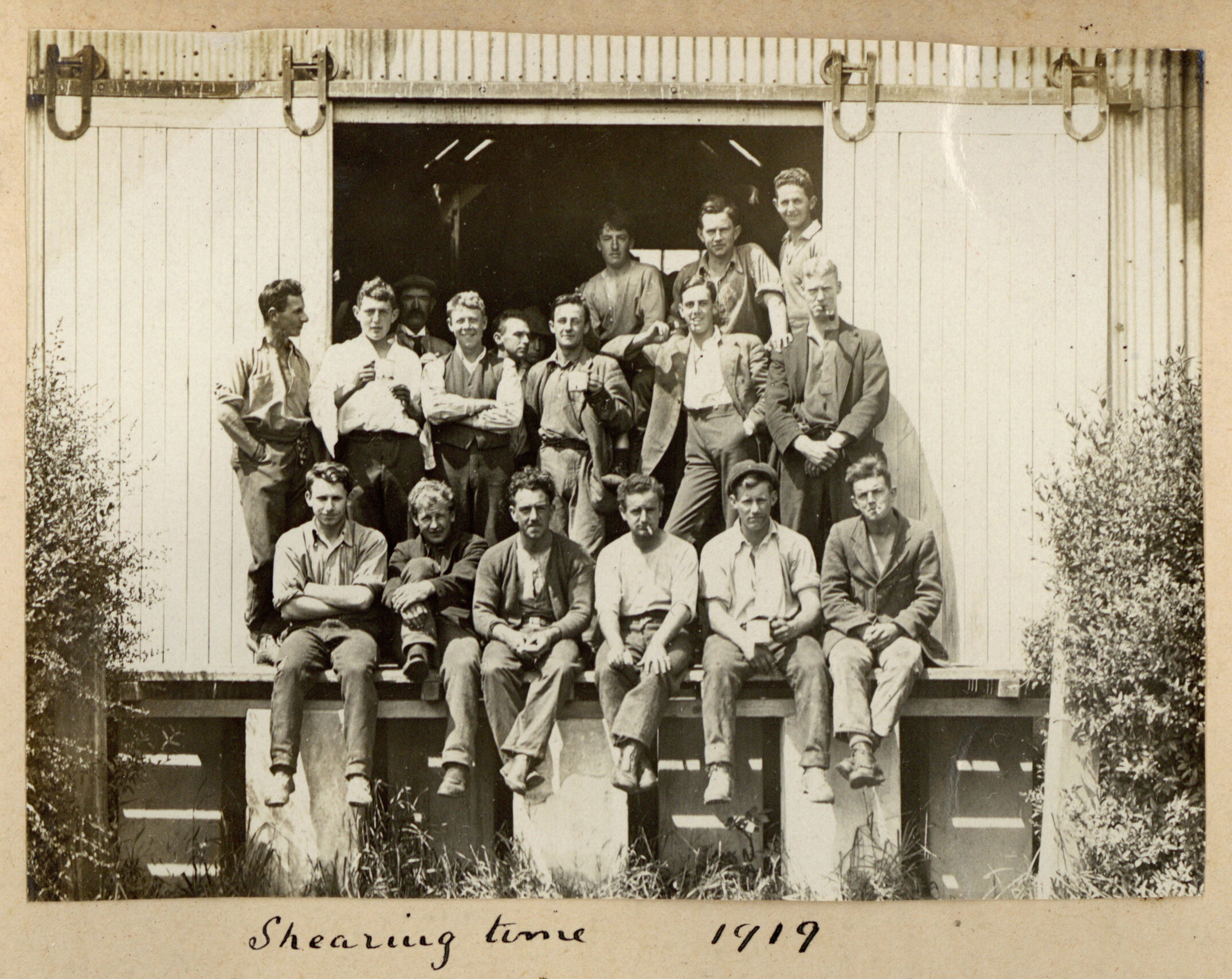 Shearing time, Canterbury Agricultural College, 1919