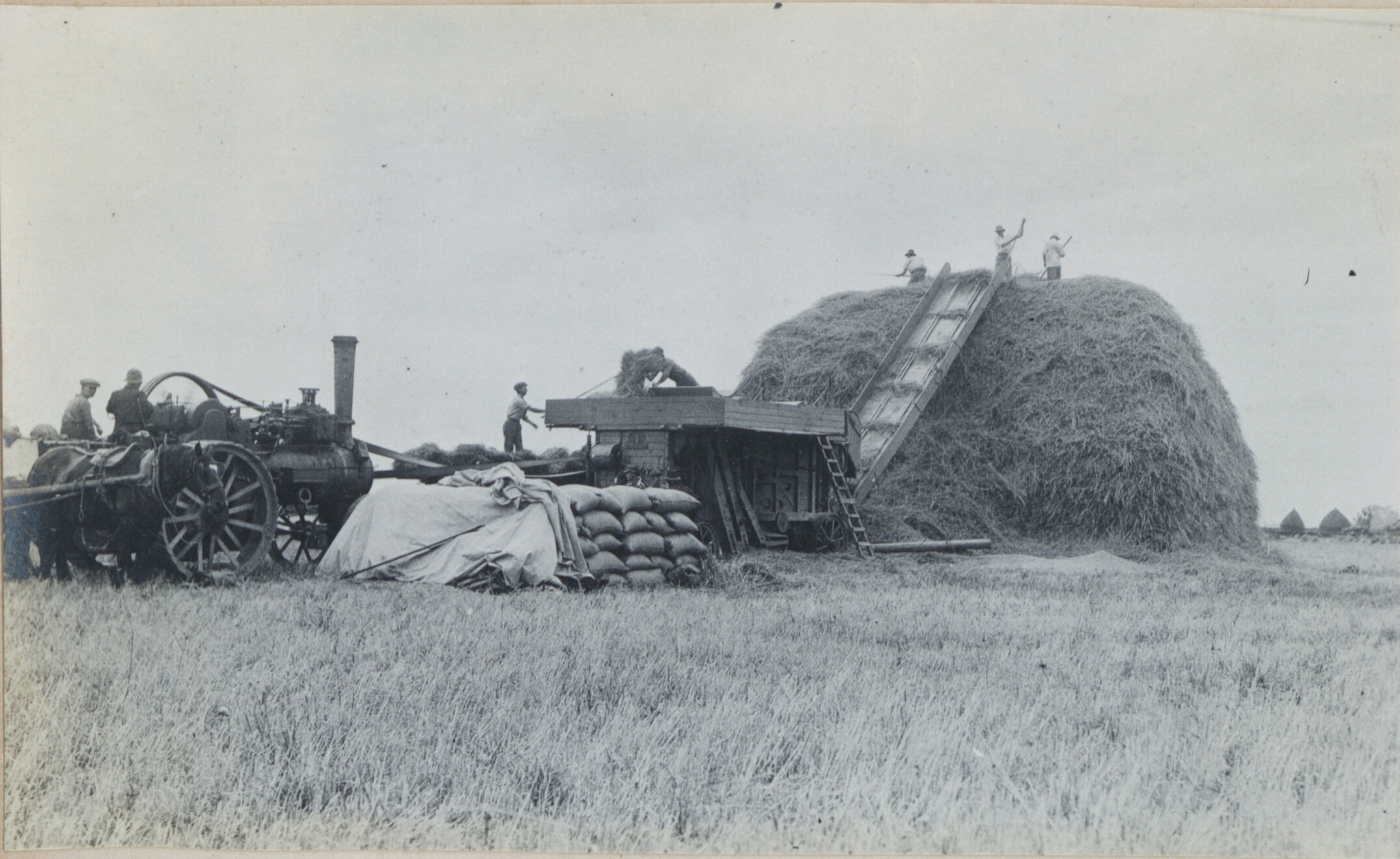Lincoln Farm - Lincoln College Harvest, c. 1918