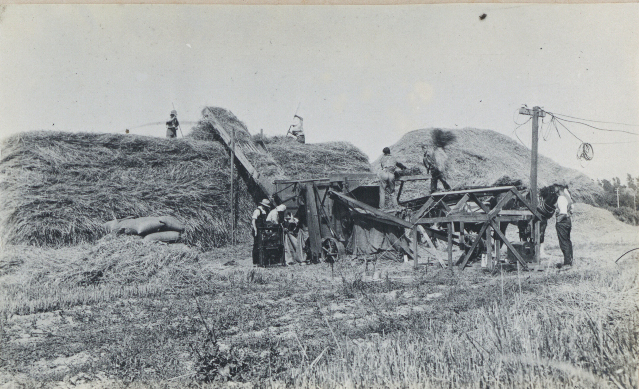 Lincoln Farm - Lincoln College Harvest, c. 1918