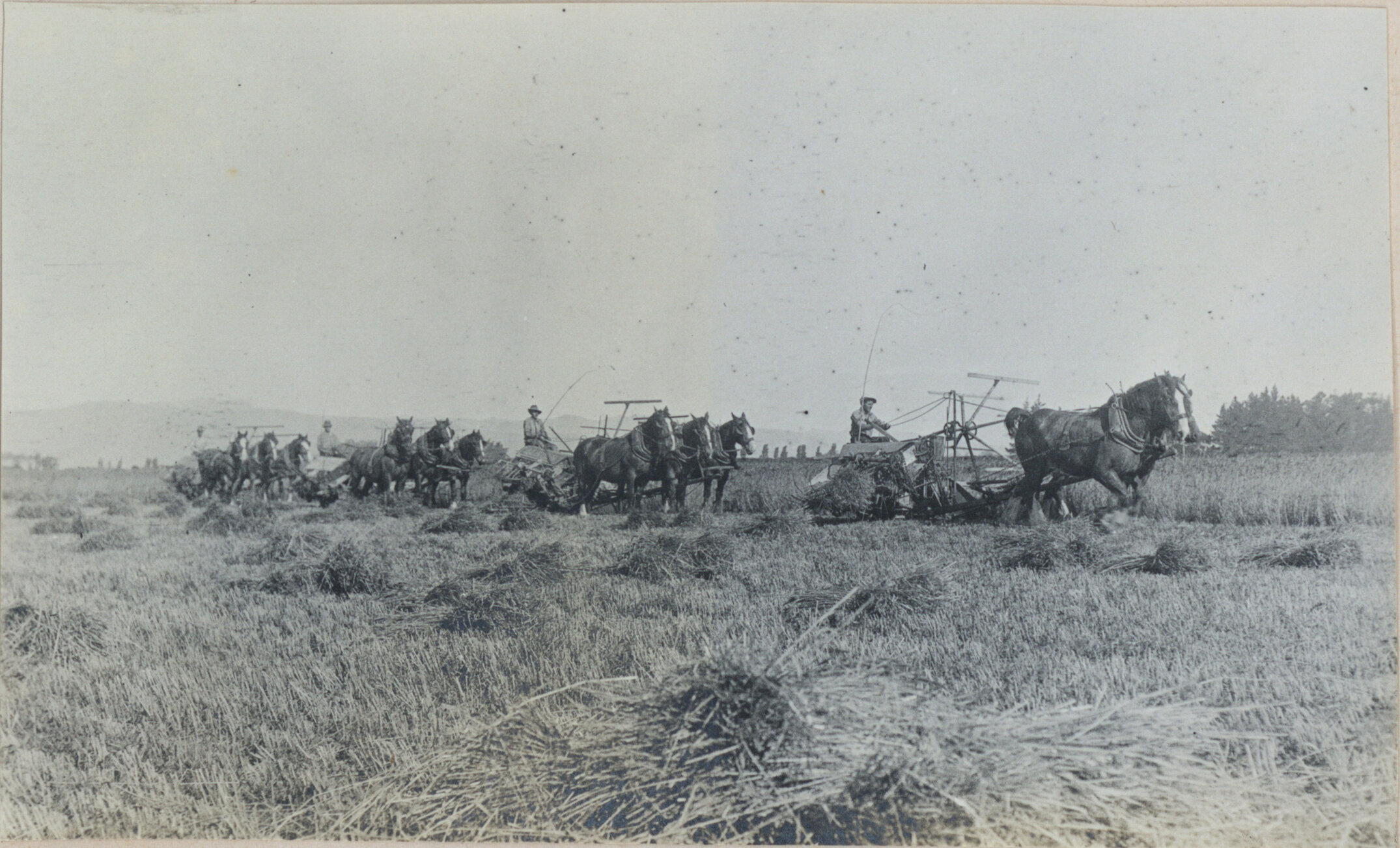 Lincoln Farm - Lincoln College Harvest. c. 1918