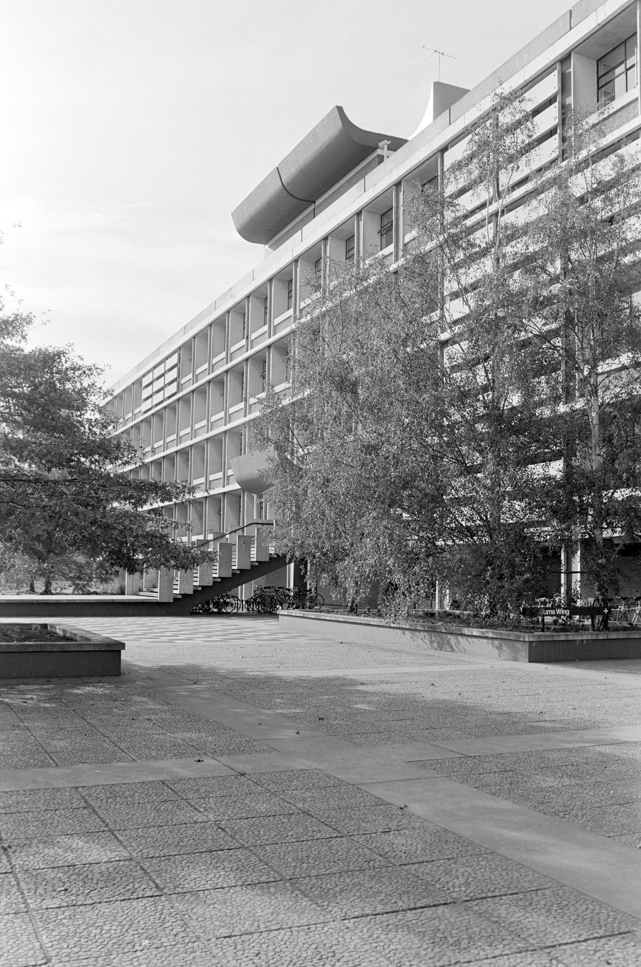 1981 Hilgendorf Building and Courtyard 01