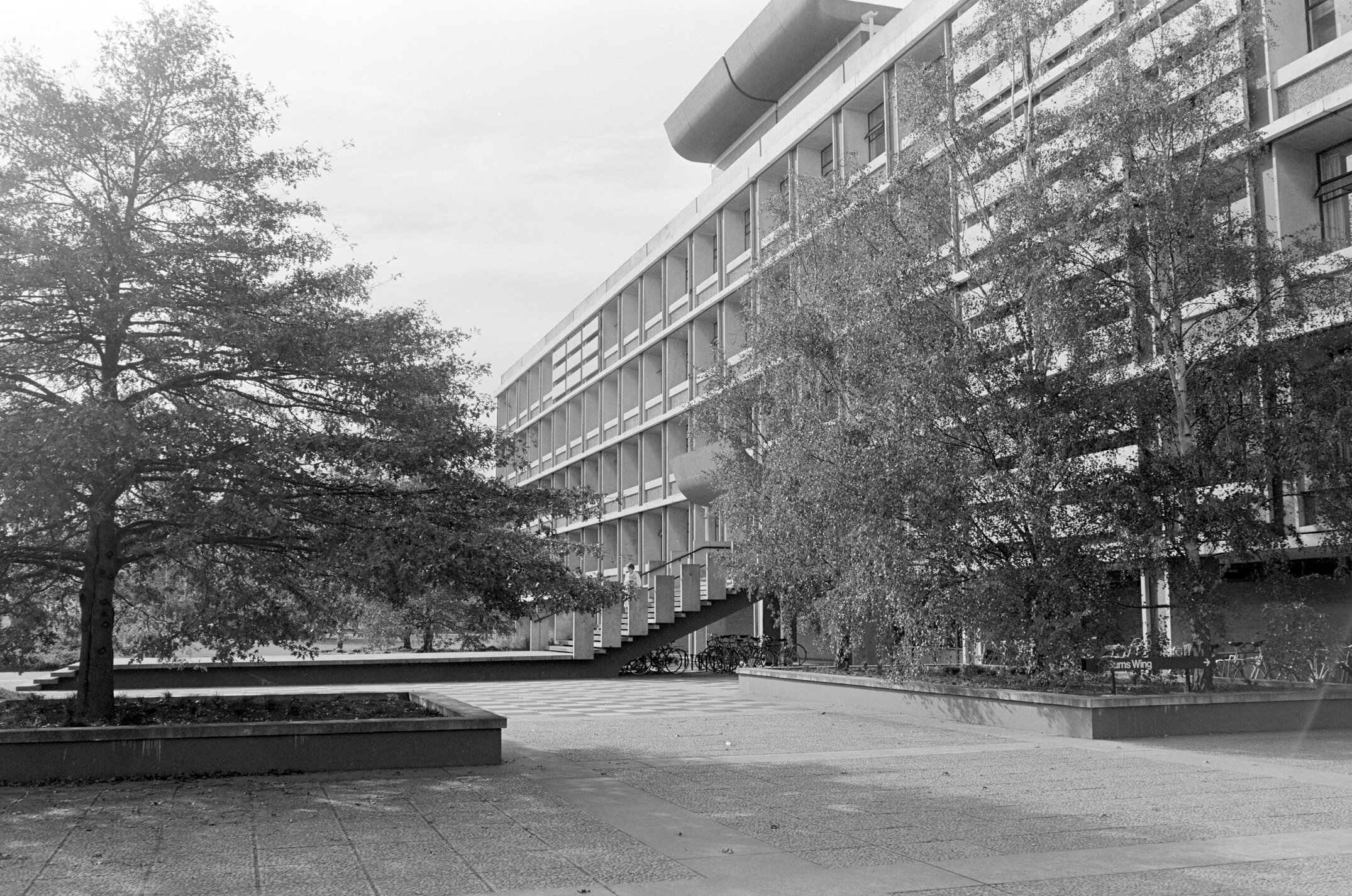  1981 Hilgendorf Building and Courtyard 02