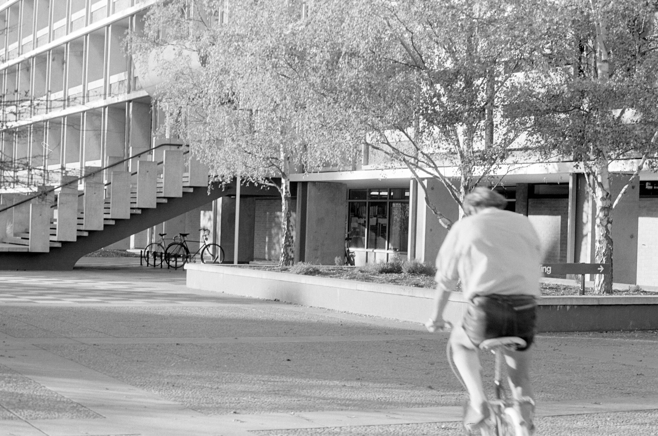 Cyclist Approaching the Hilgendorf Building in Autumn 