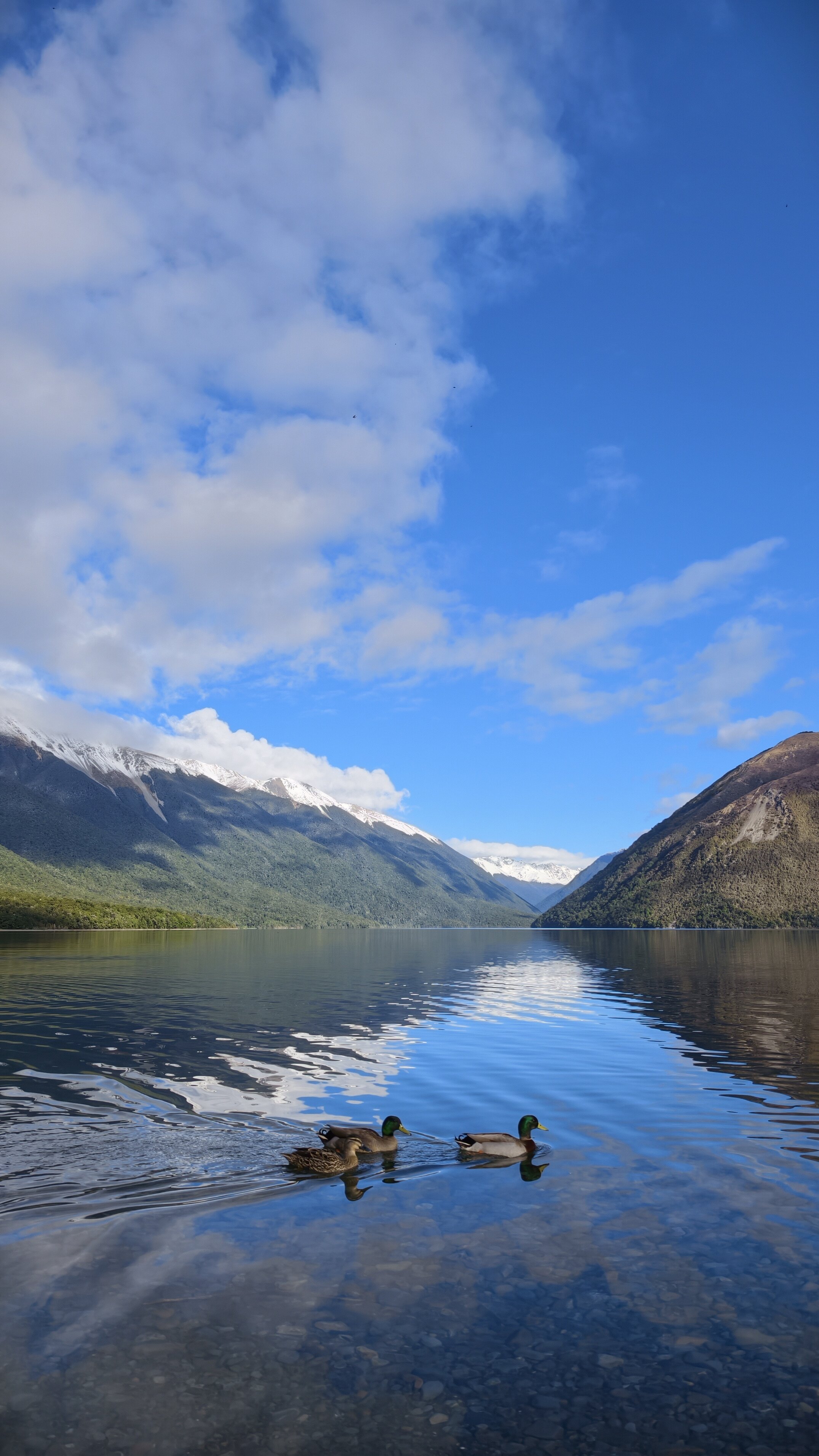 Quiet Harmony on Lake Nelson