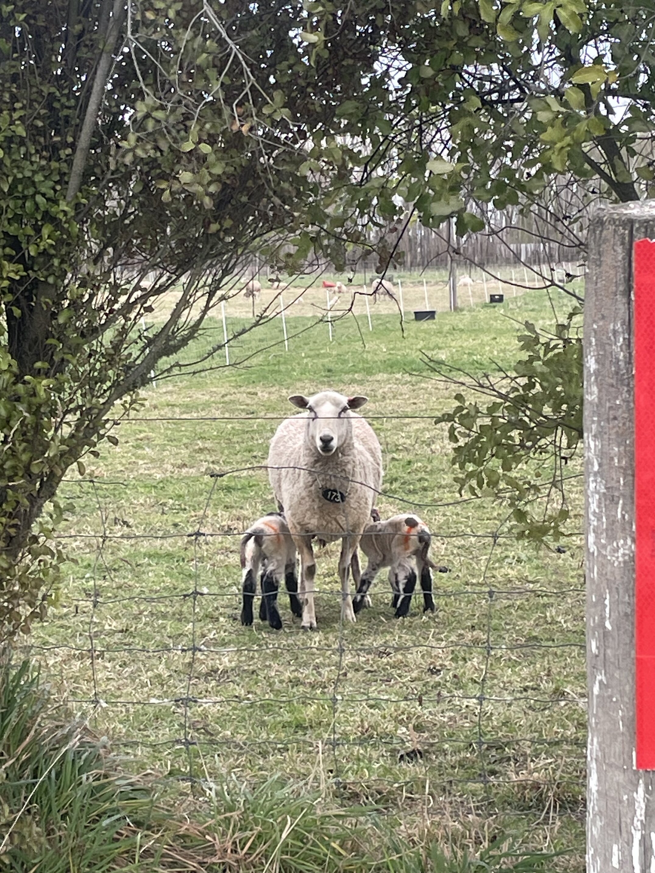 Spring, a beautiful time of year to take notice 