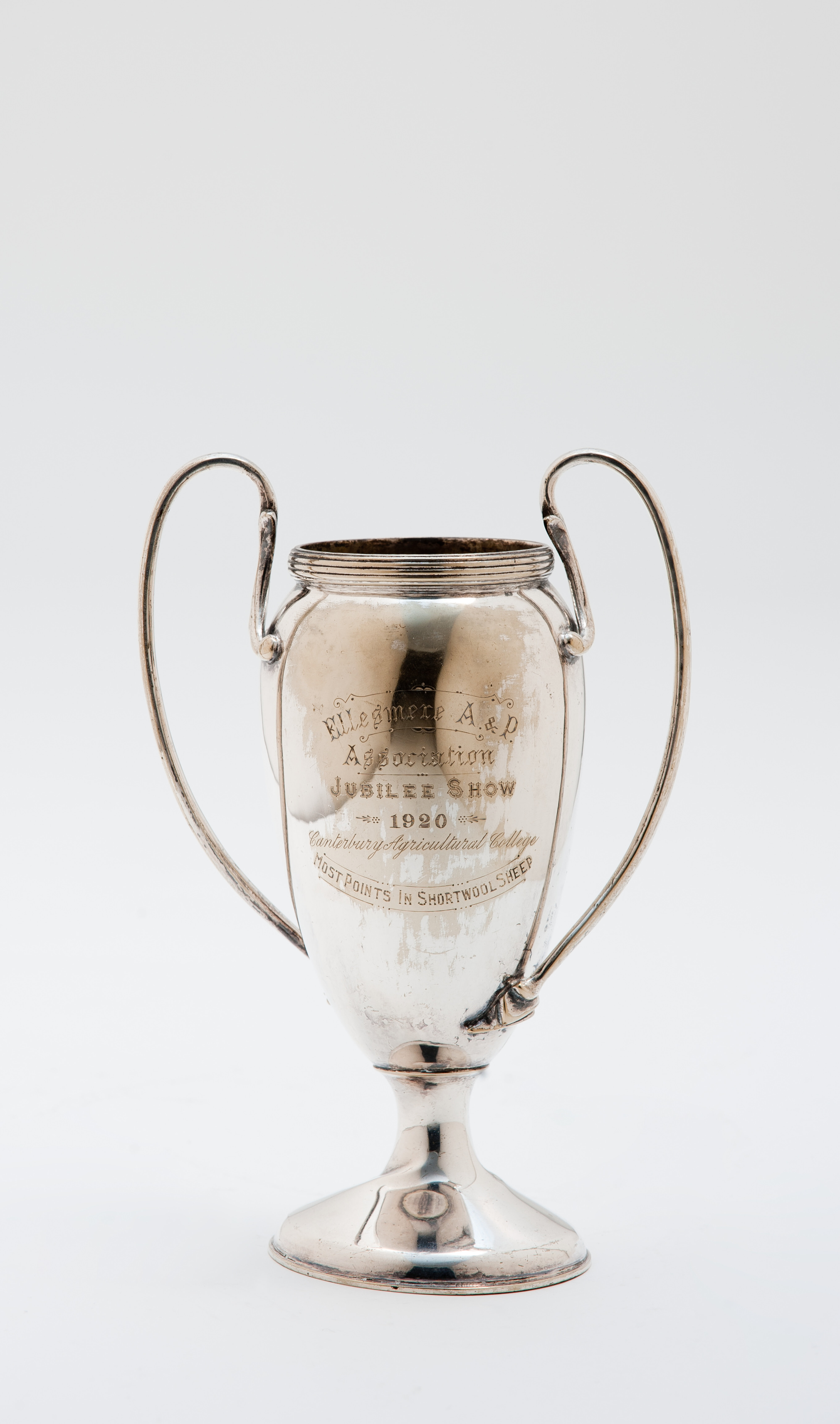 A&amp;P Shortwool Sheep Cup-1920