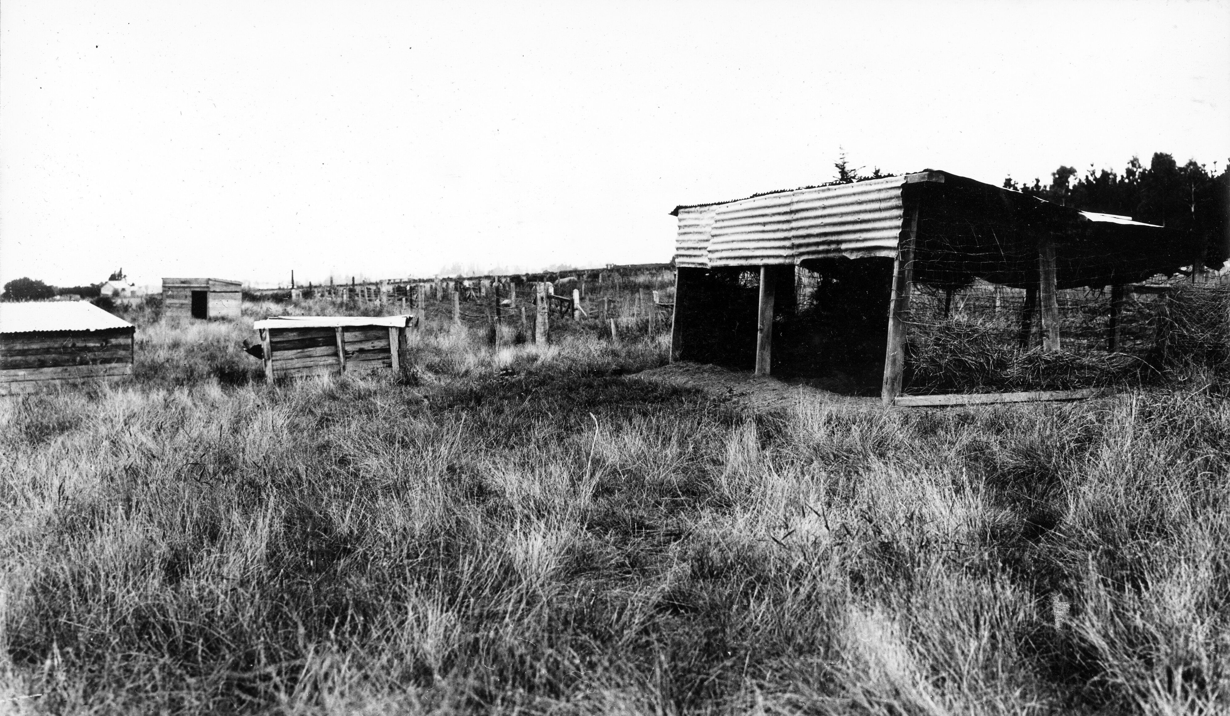 Page 3 Pig Shelters and Yards