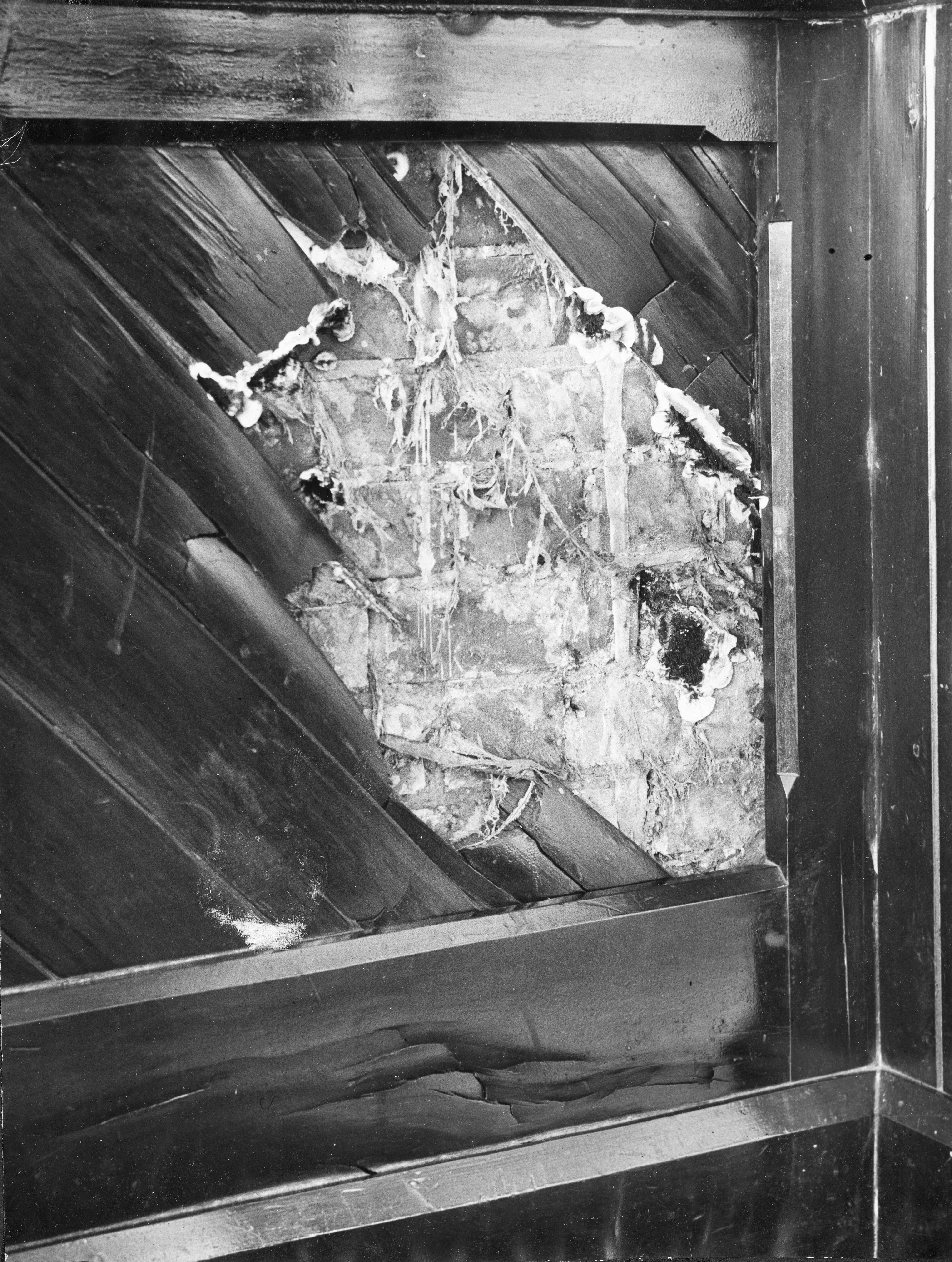 Page 7 Panelling in Main Building 