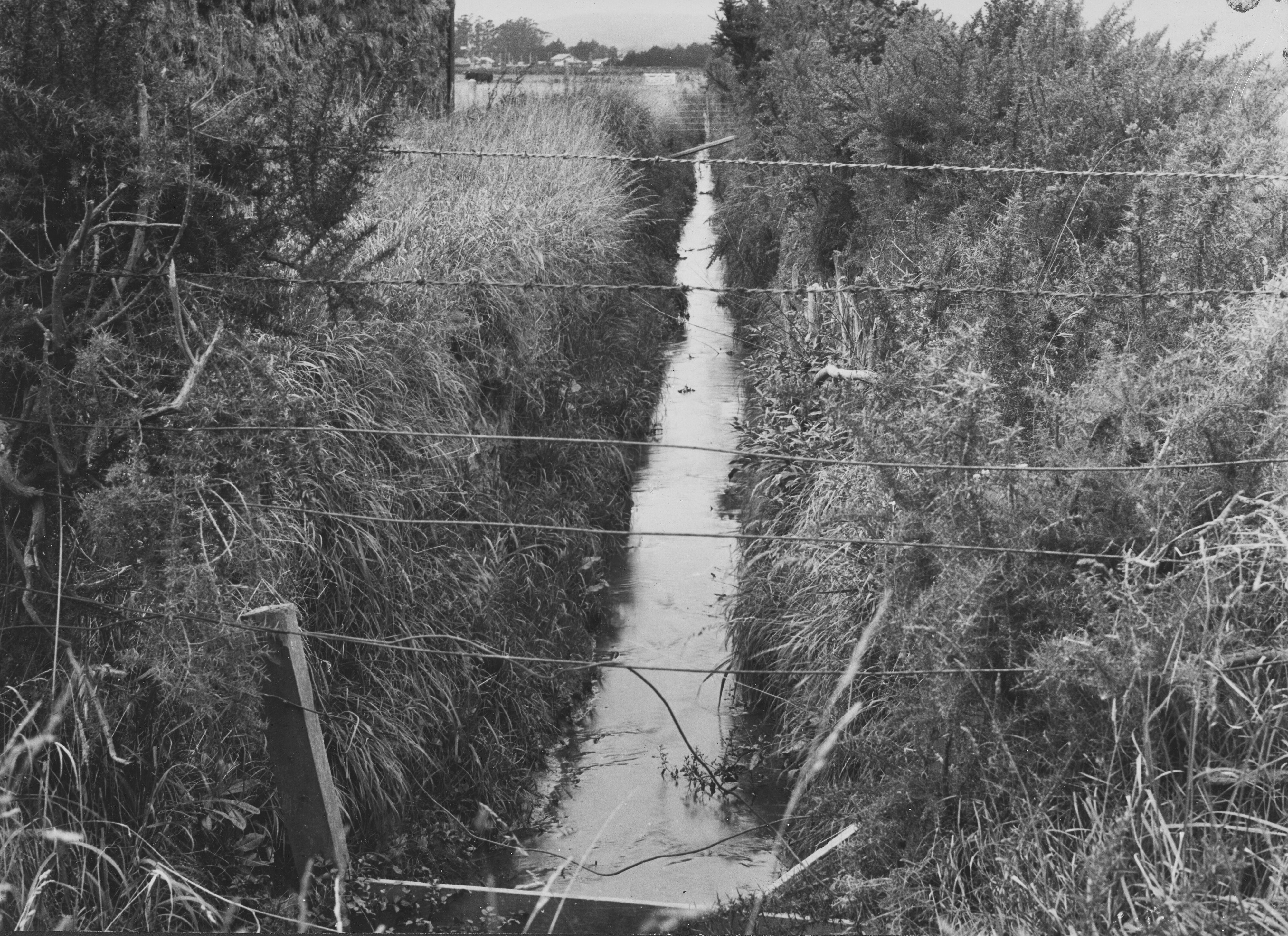 Page 14 Main drain - Drinking water for dairy cows and sewage outlet