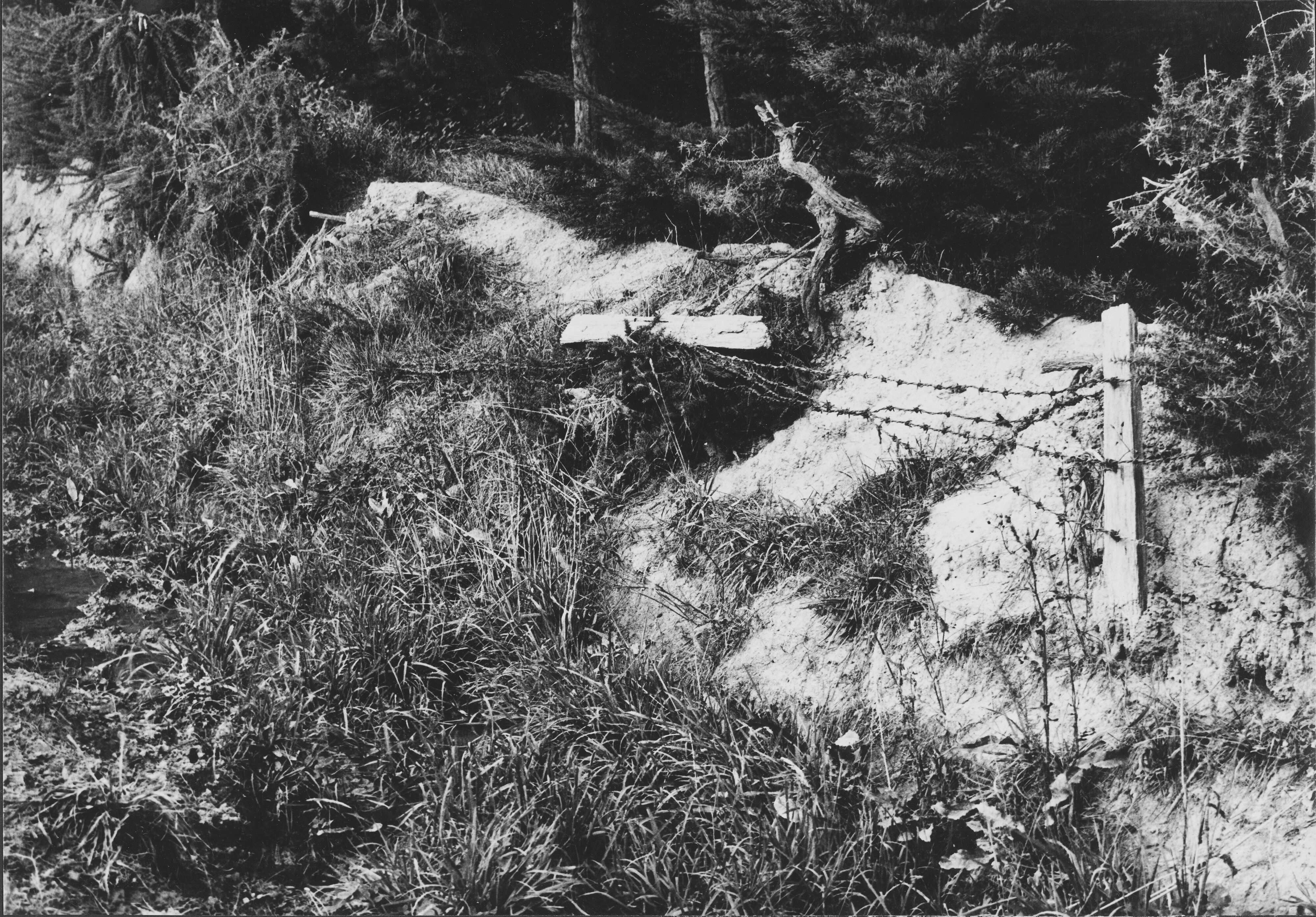 Page 16 Another typical fence