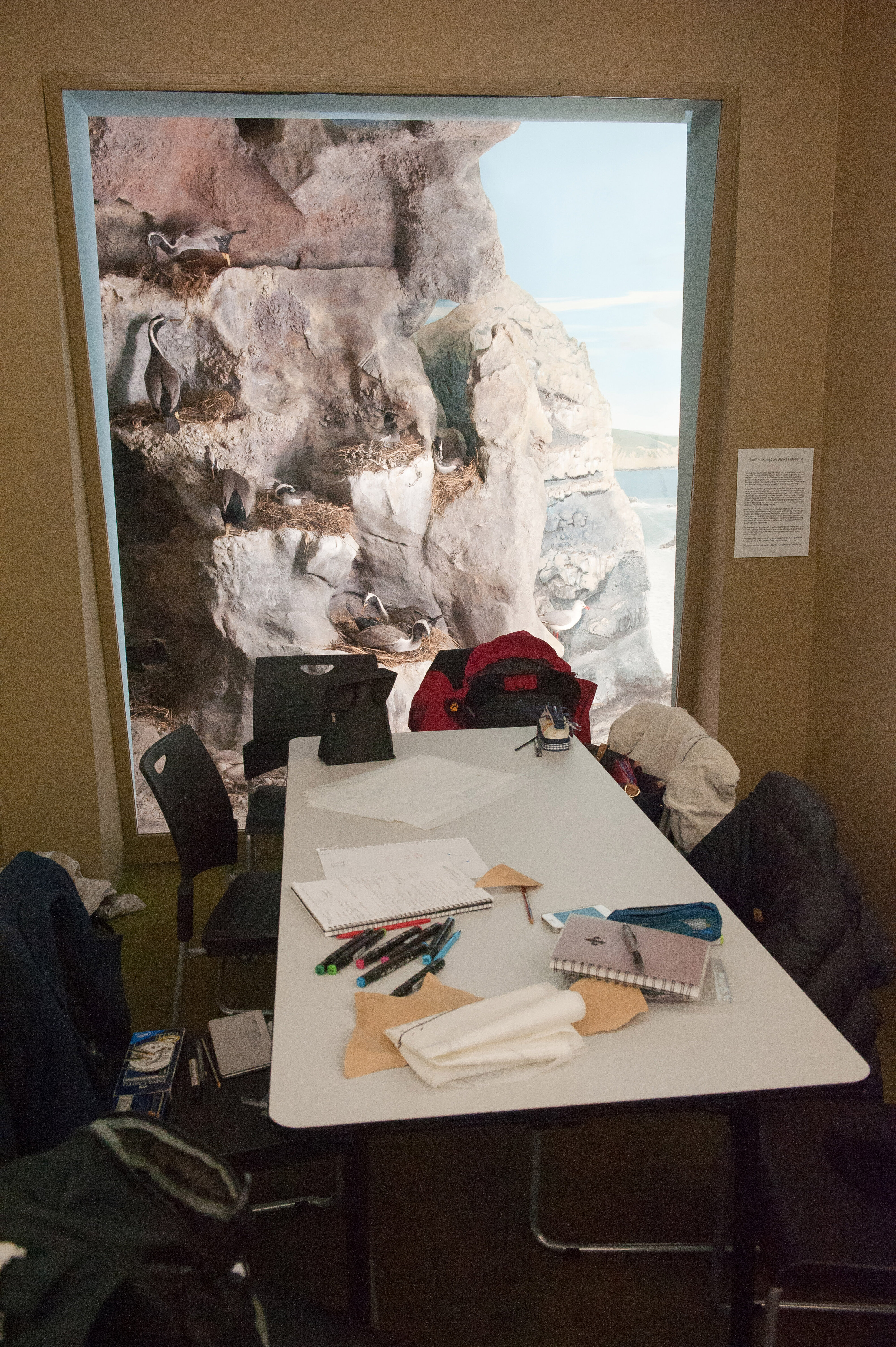 2014 SoLA Vertical Studio 125