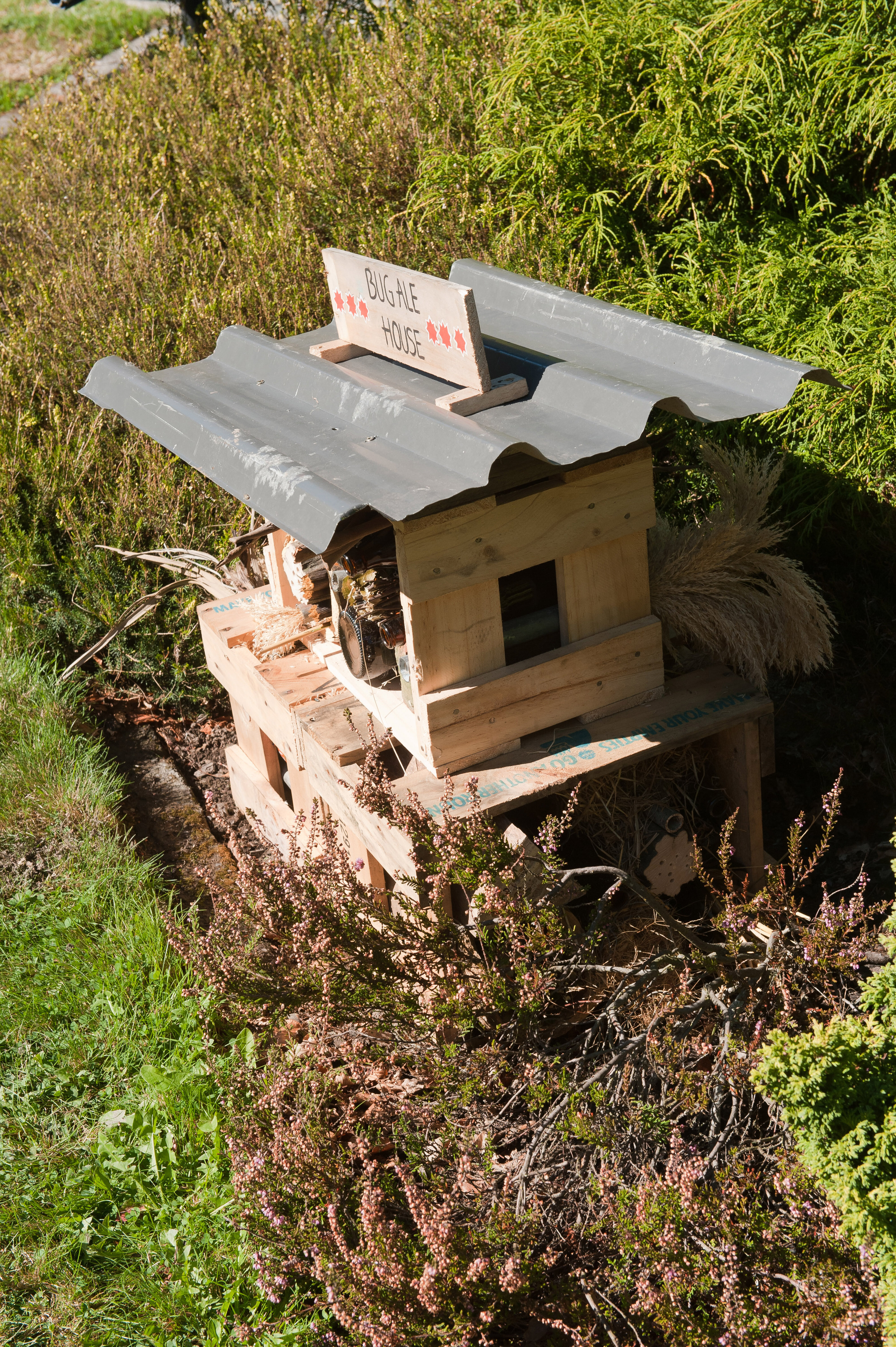 2014 SoLA Insect Motels Tour 19