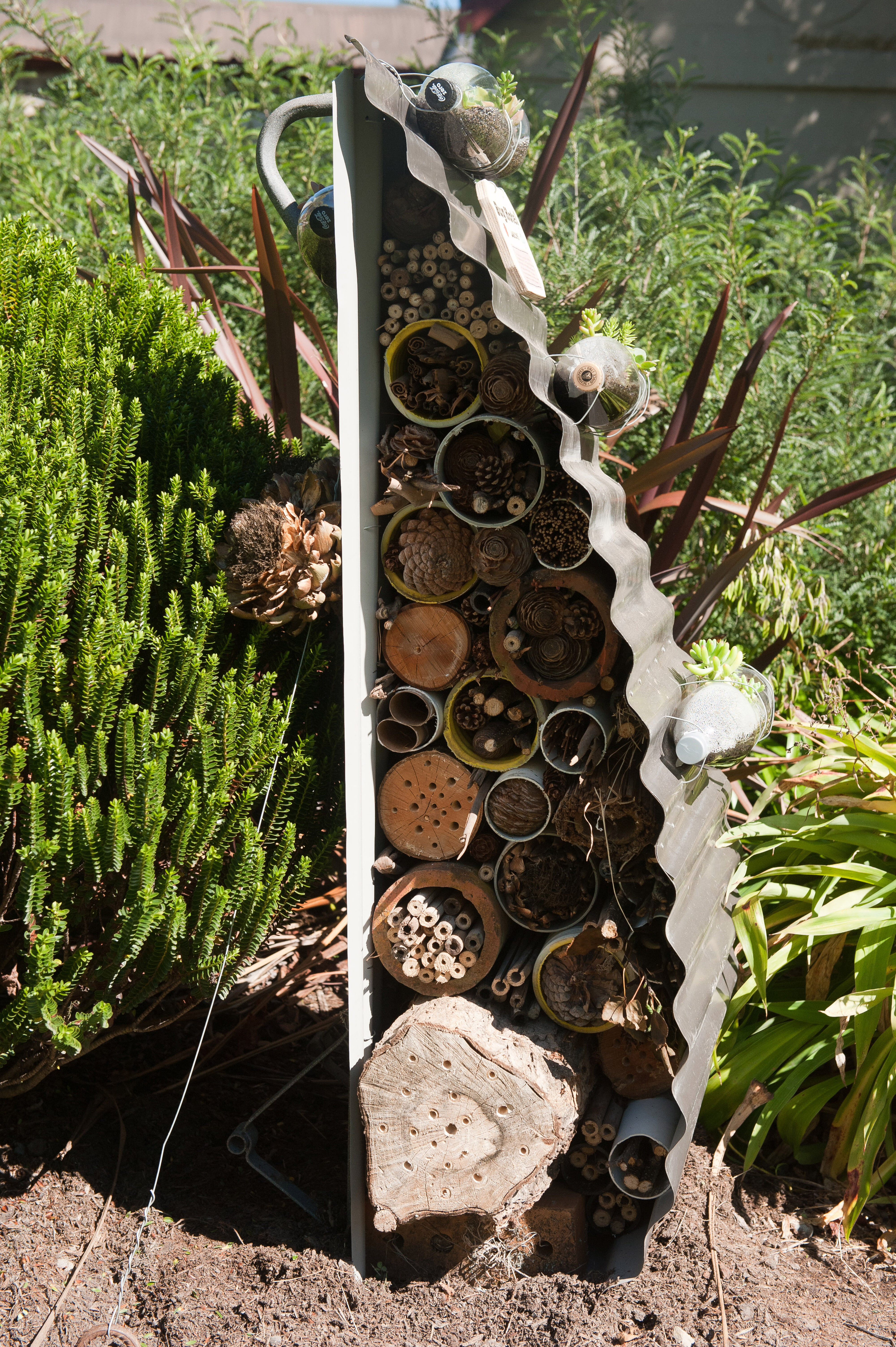 2014 SoLA Insect Motels Tour 65