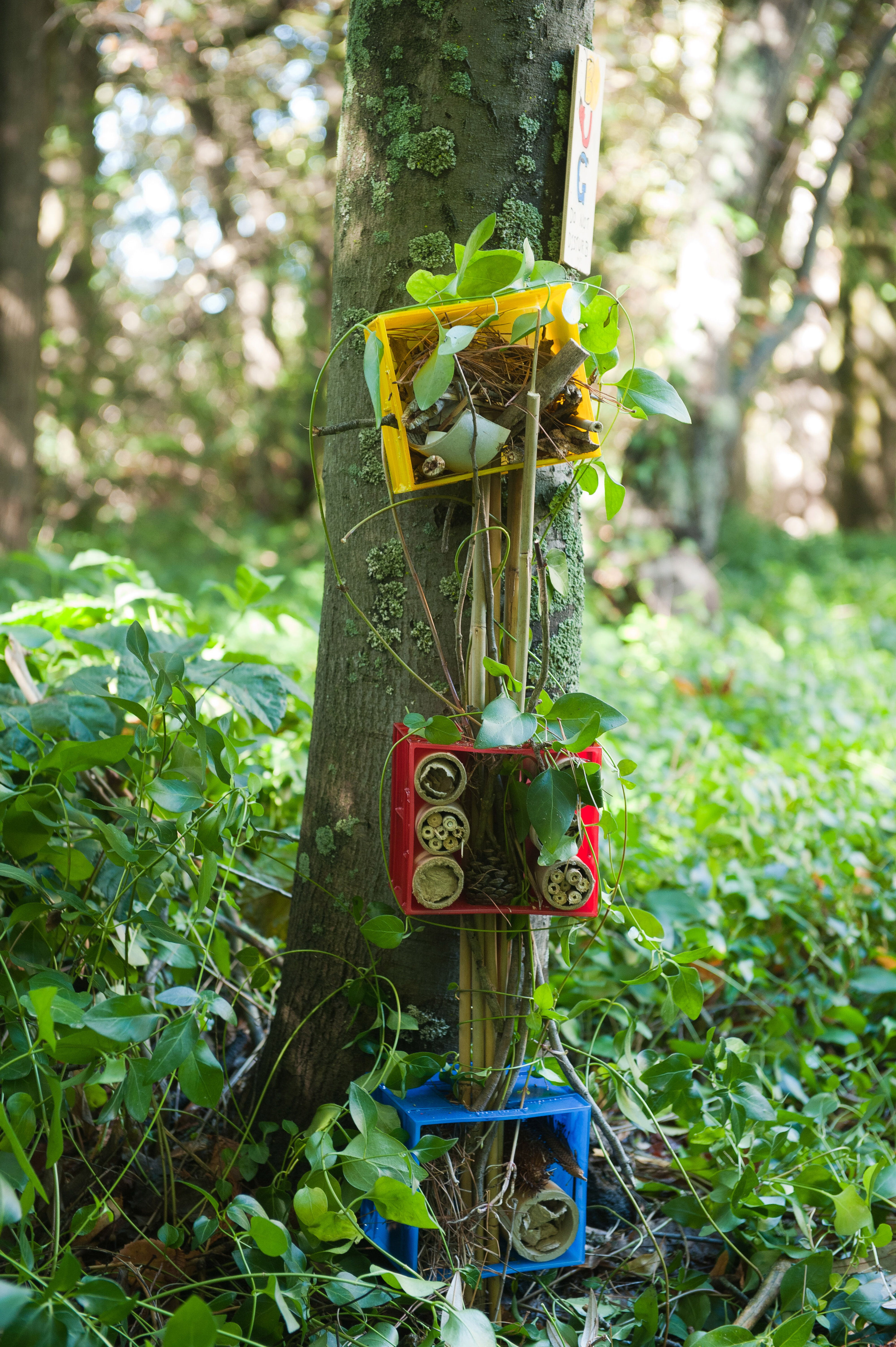 2014 SoLA Insect Motels Tour 33