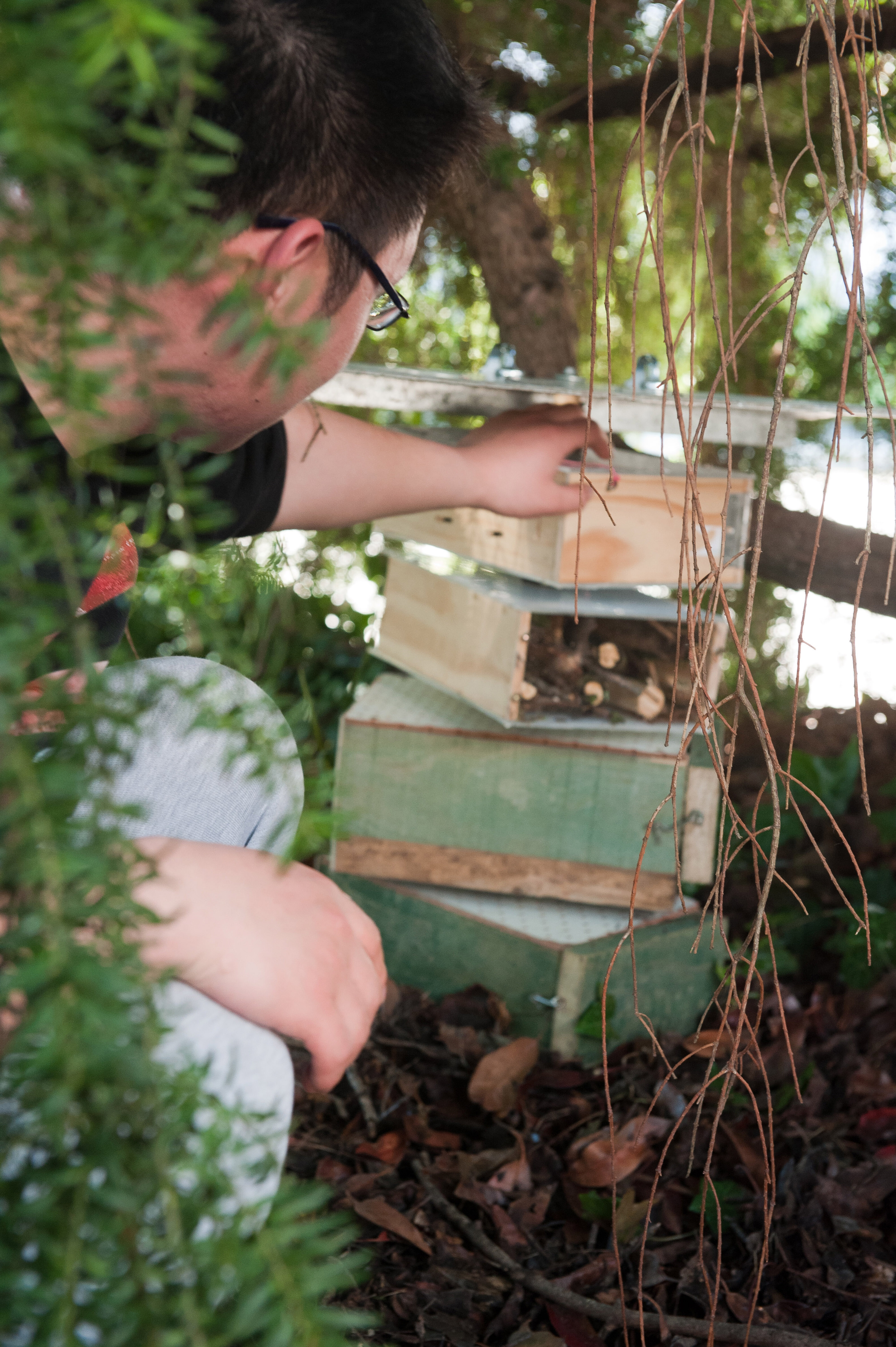 2014 SoLA Insect Motels Tour 76