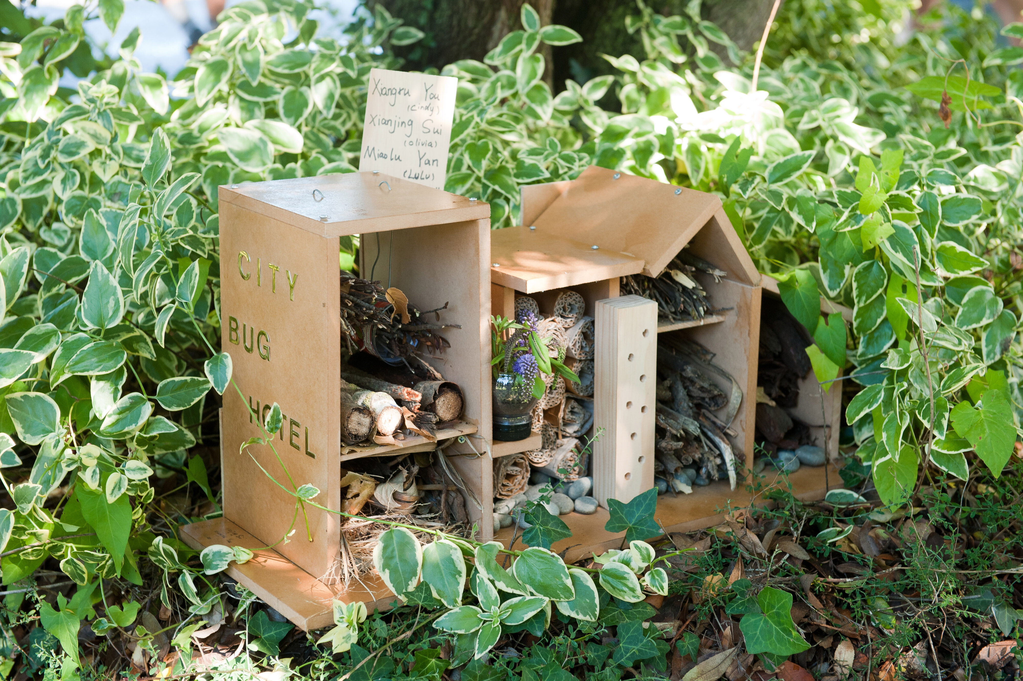 2014 SoLA Insect Motels Tour 40