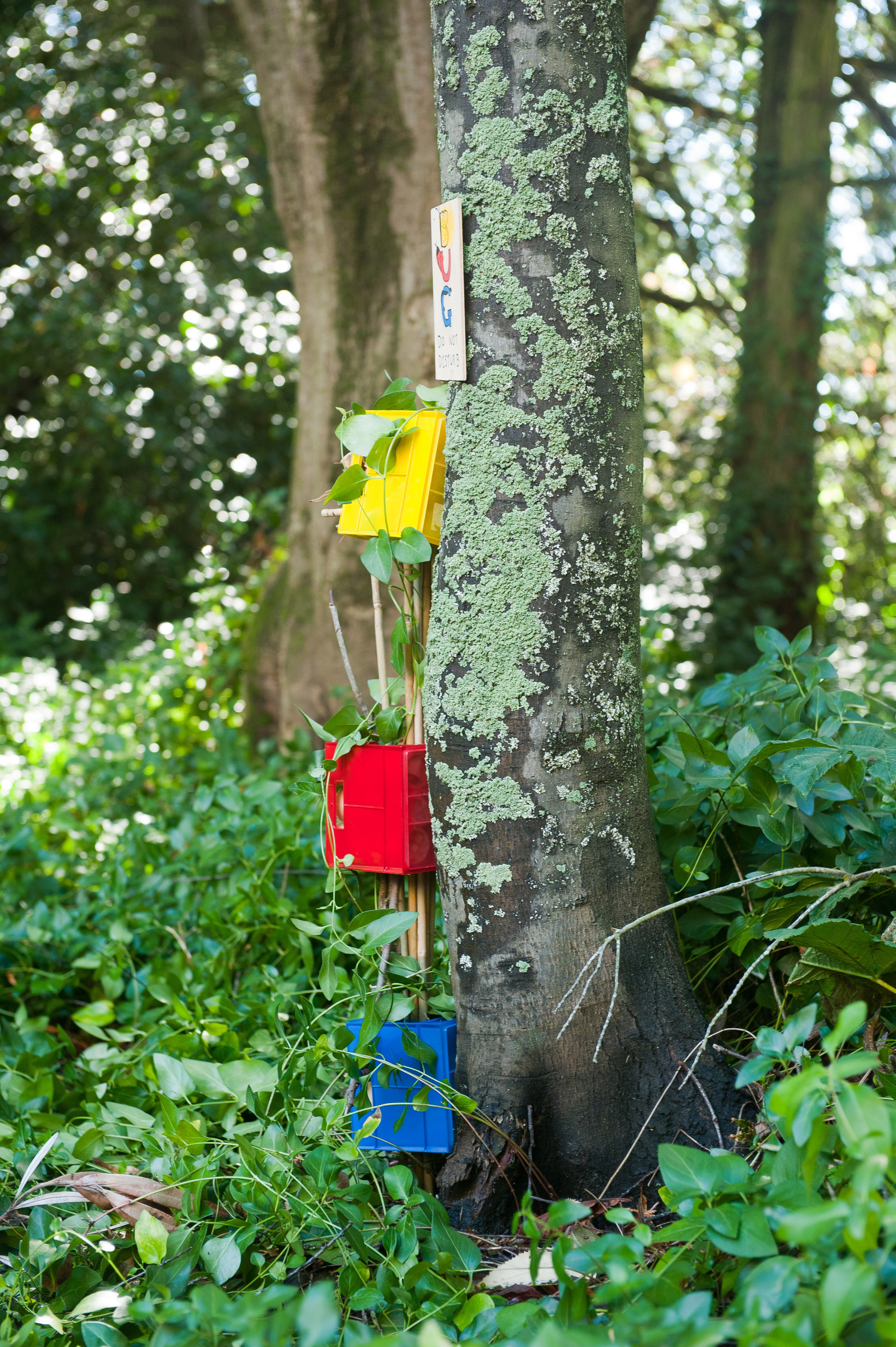 2014 SoLA Insect Motels Tour 31