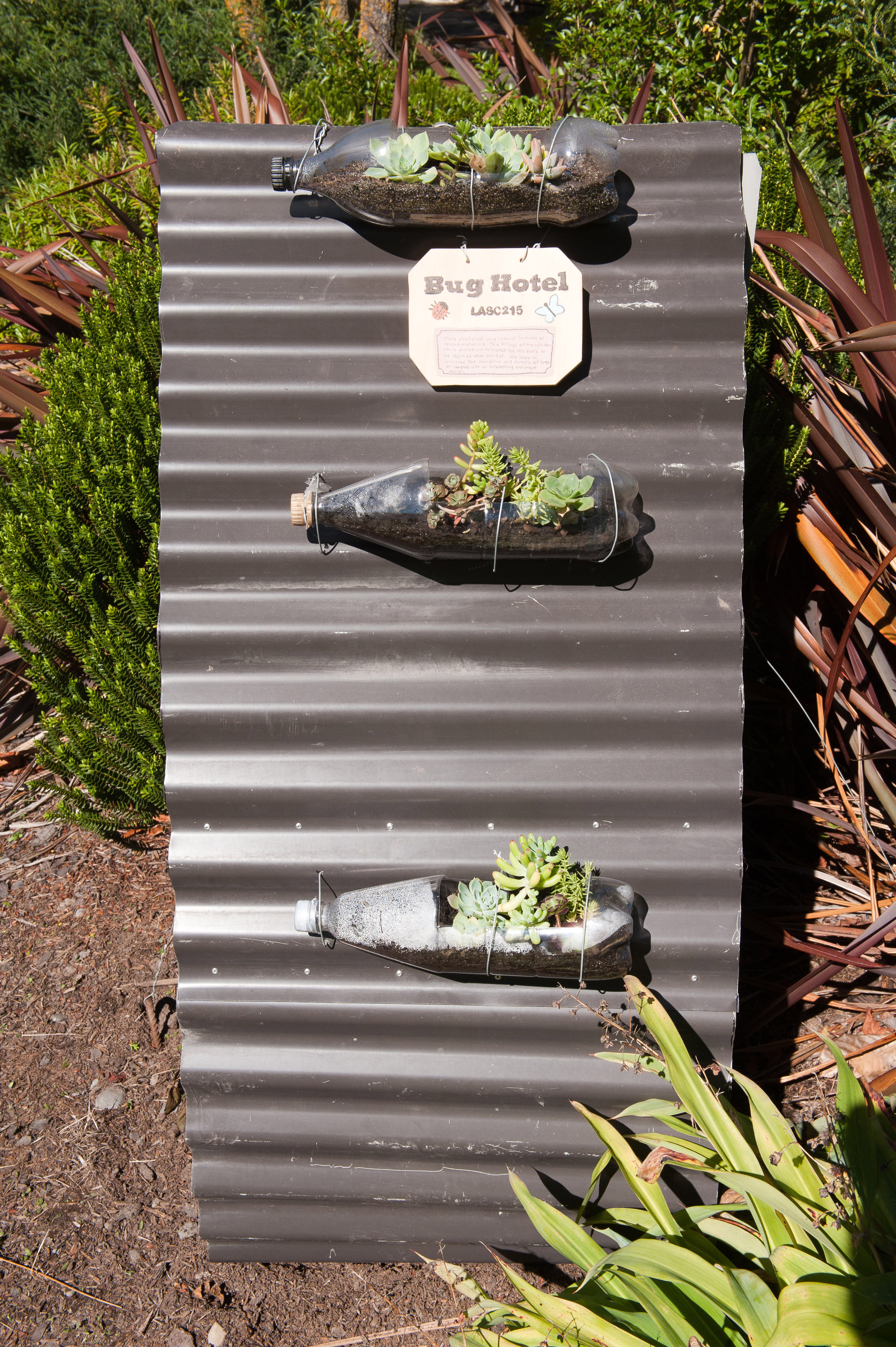 2014 SoLA Insect Motels Tour 59