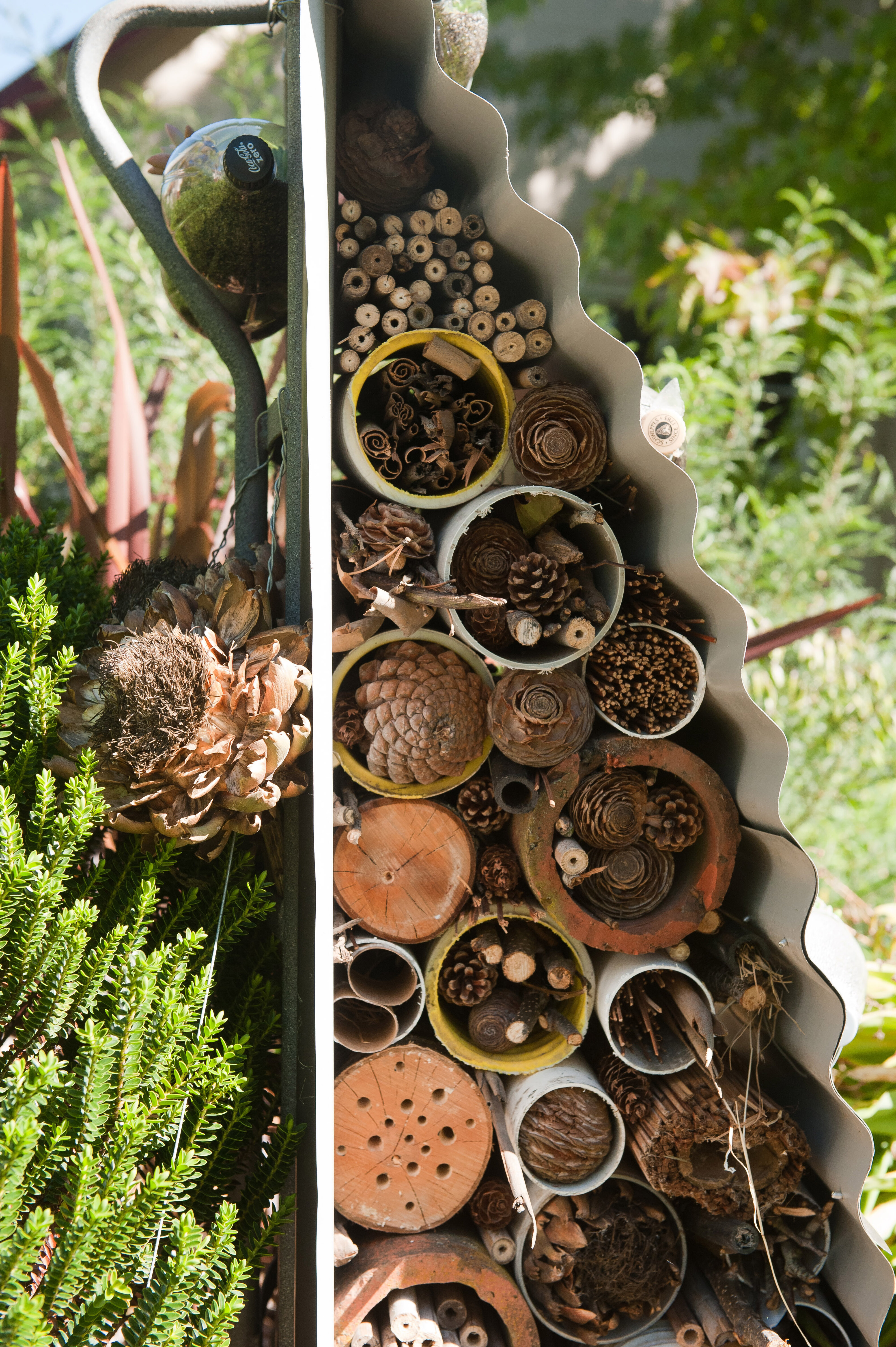 2014 SoLA Insect Motels Tour 61