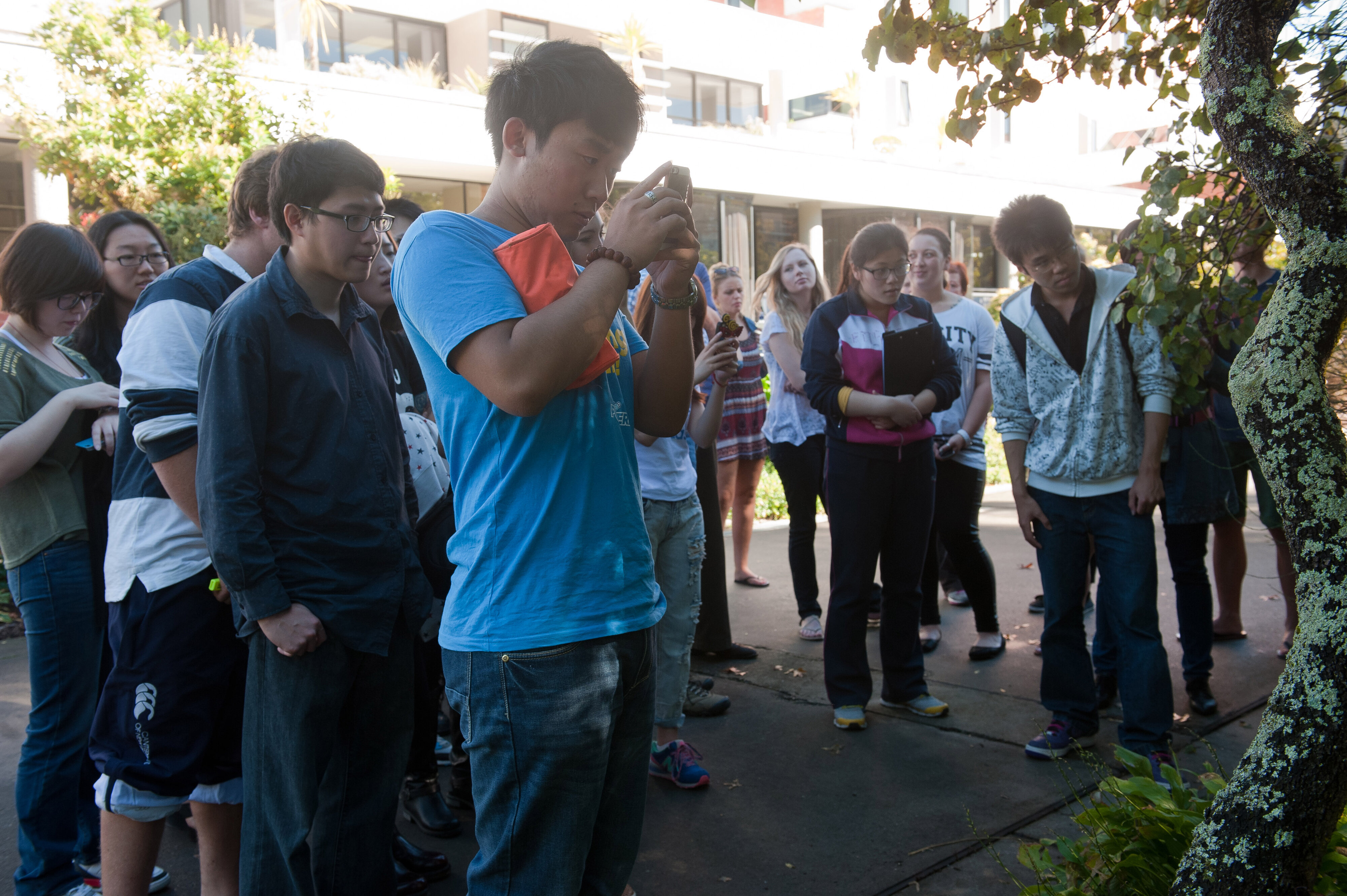 2014 SoLA Insect Motels Tour 29