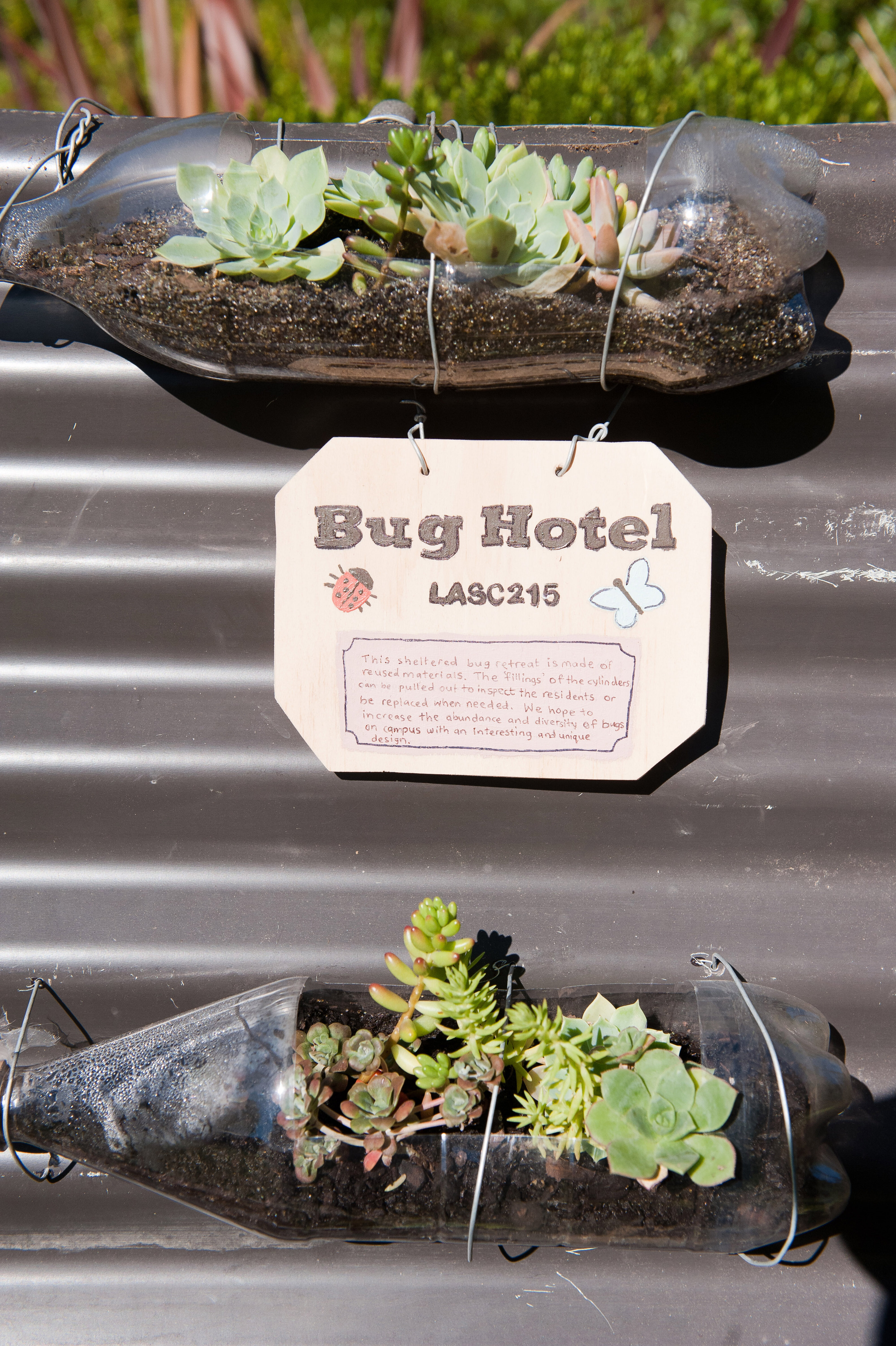 2014 SoLA Insect Motels Tour 63