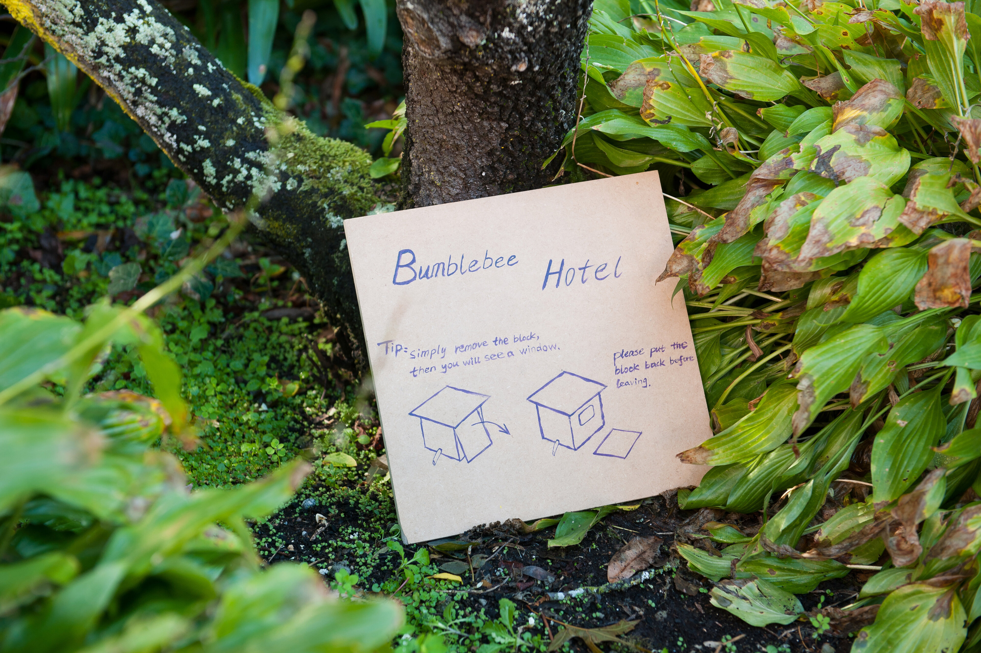 2014 SoLA Insect Motels Tour 25