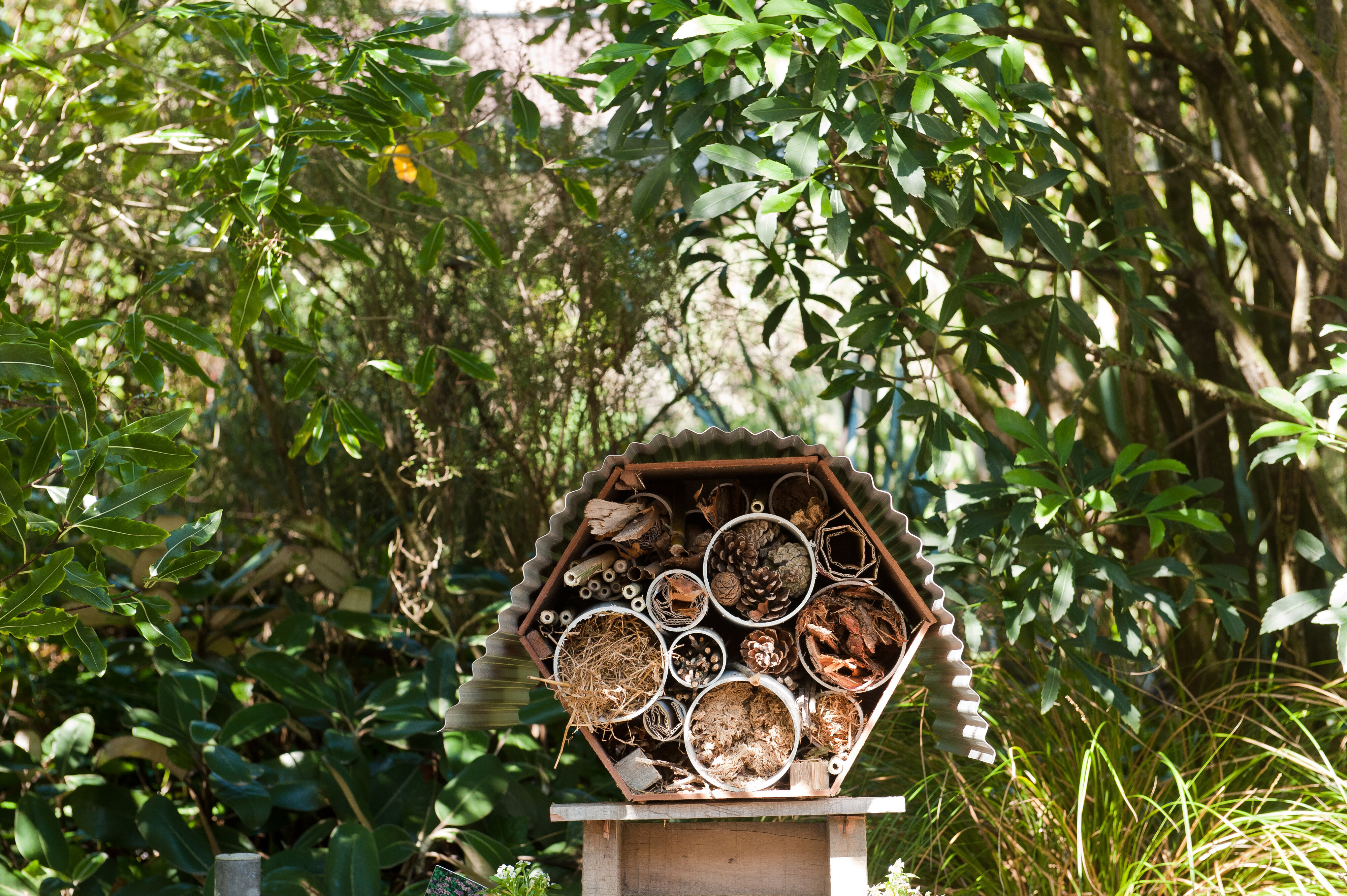 2014 SoLA Insect Motels Tour 70