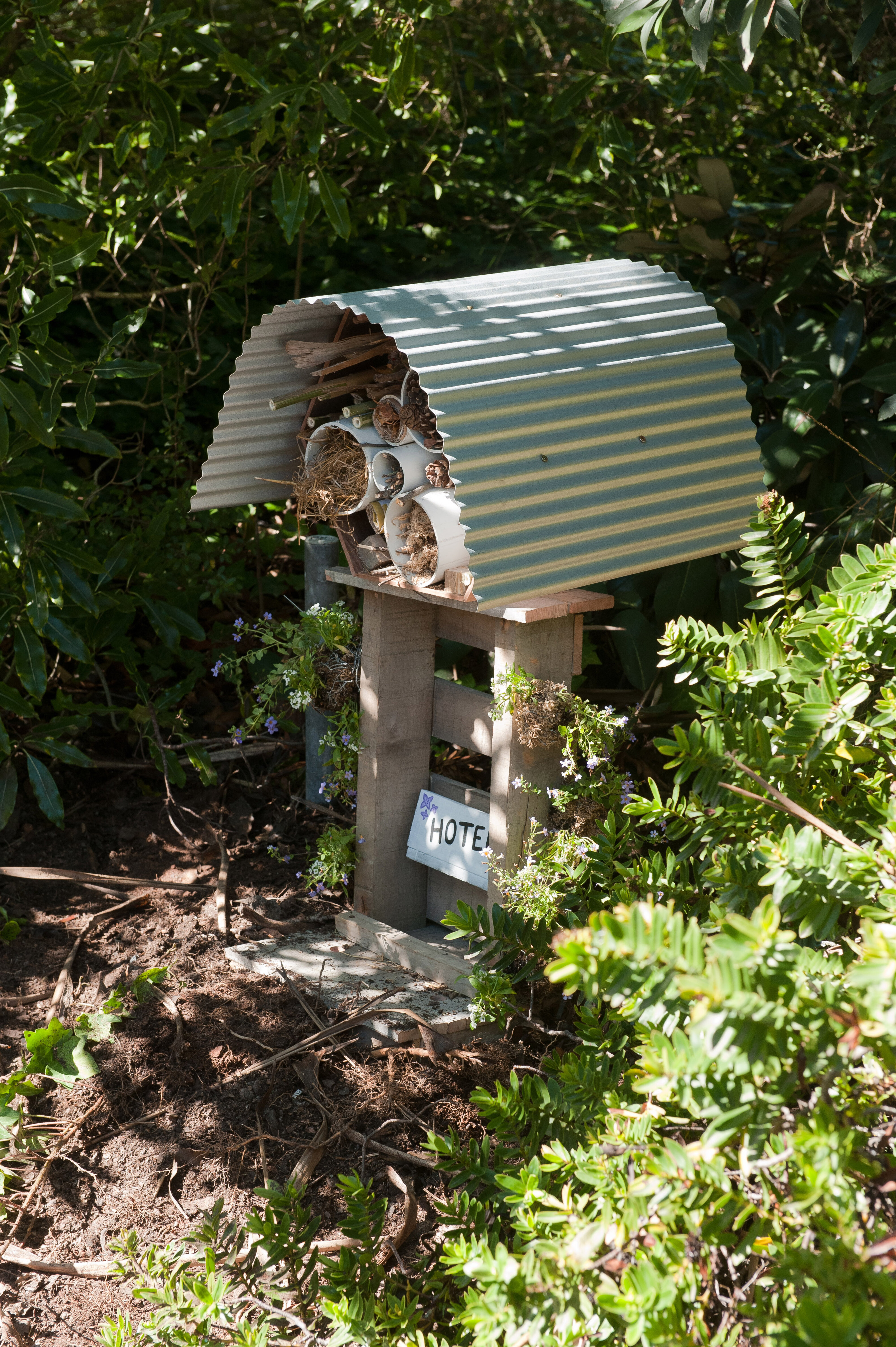 2014 SoLA Insect Motels Tour 73