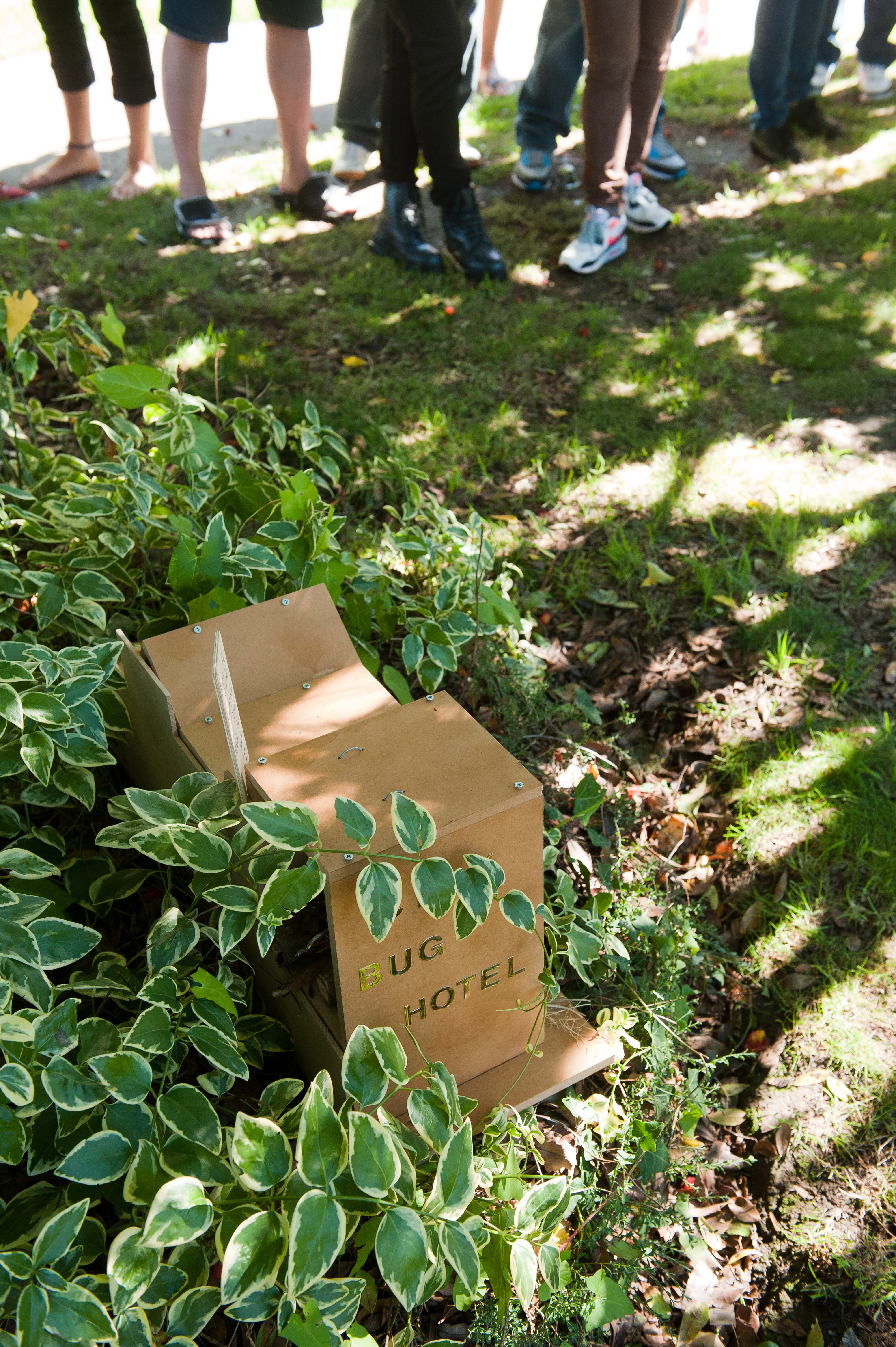 2014 SoLA Insect Motels Tour 35