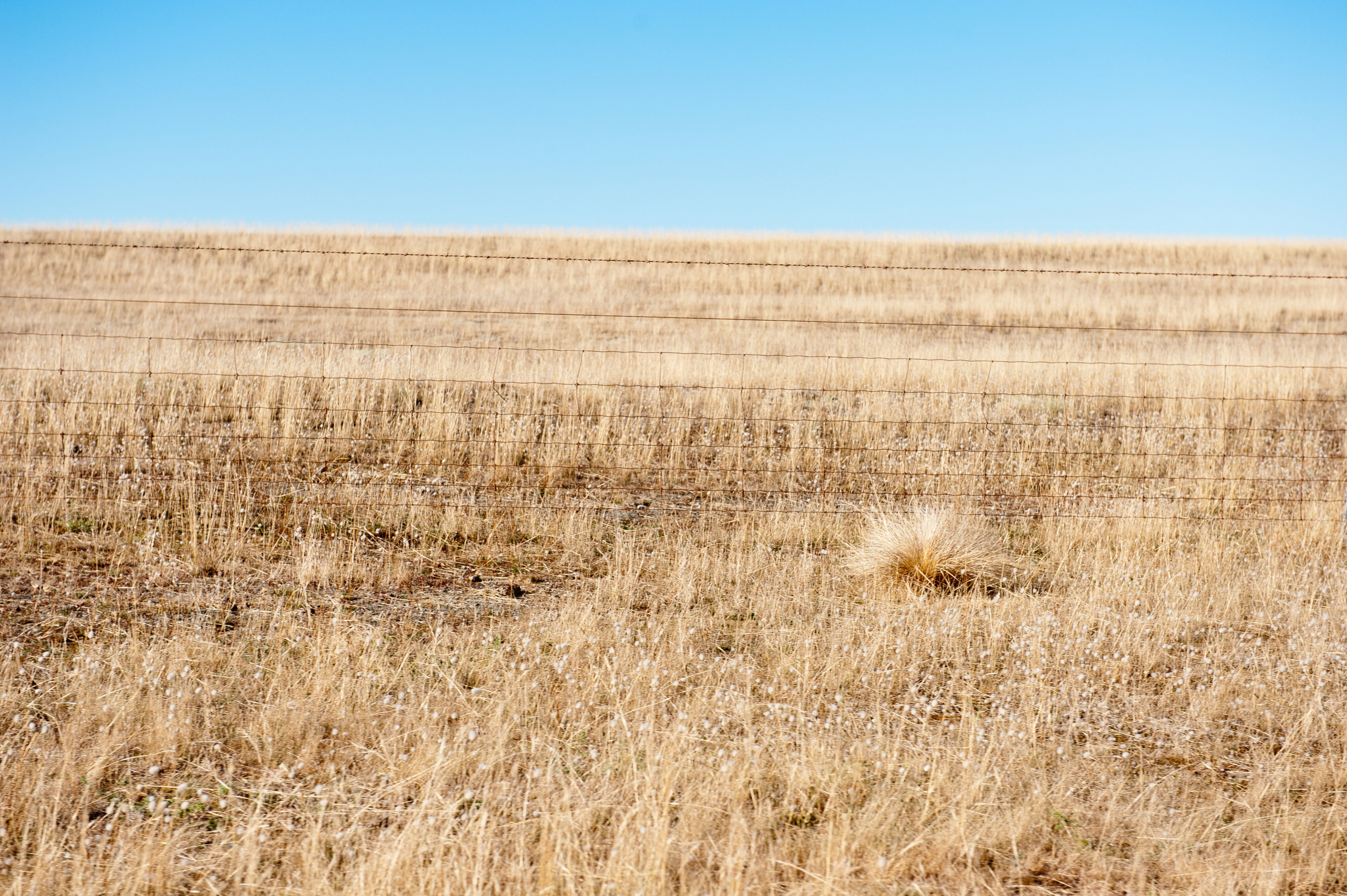 2013 Vertical Studio 051