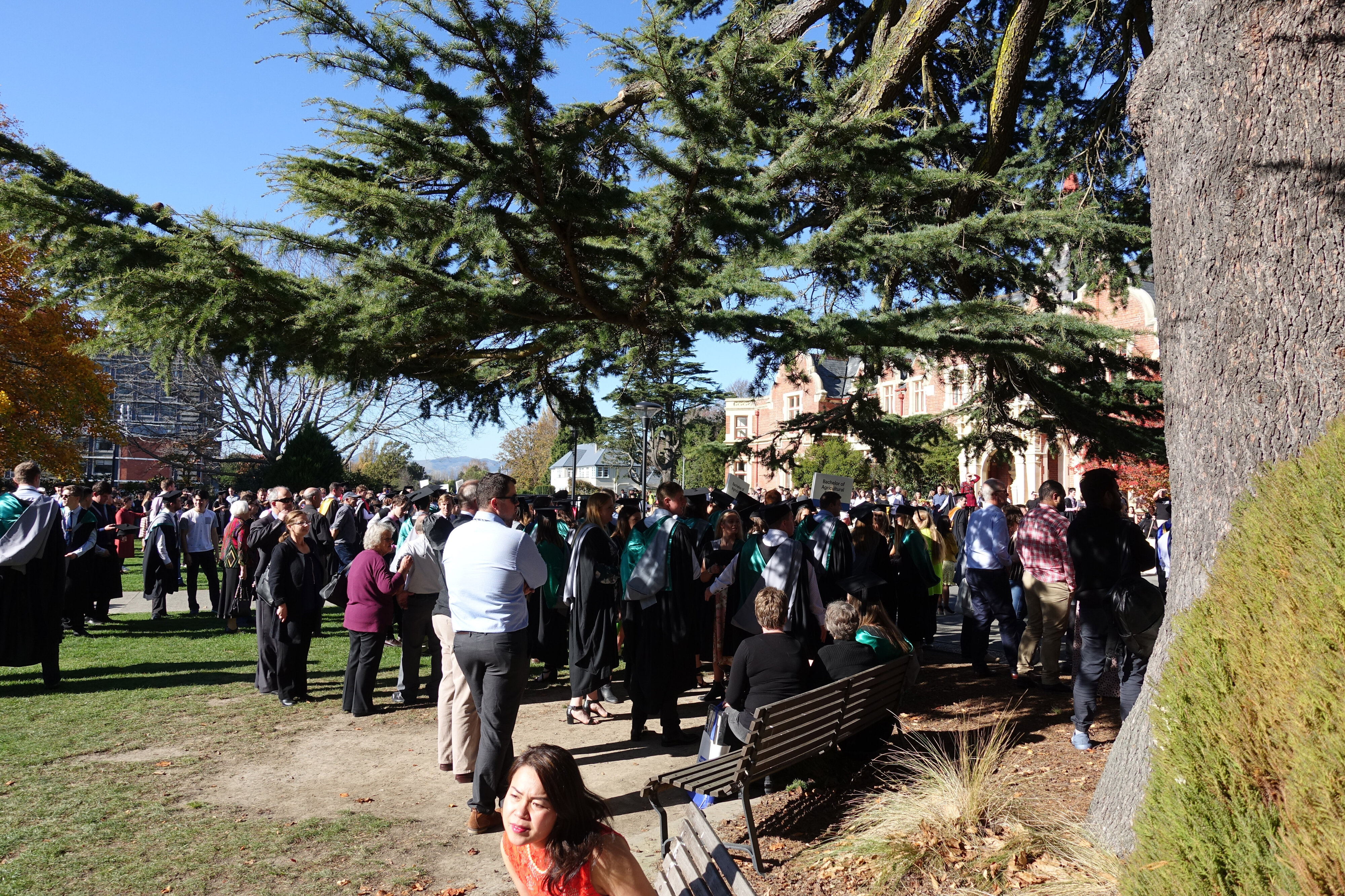 2019 LU Graduation Afternoon Ceremony 056