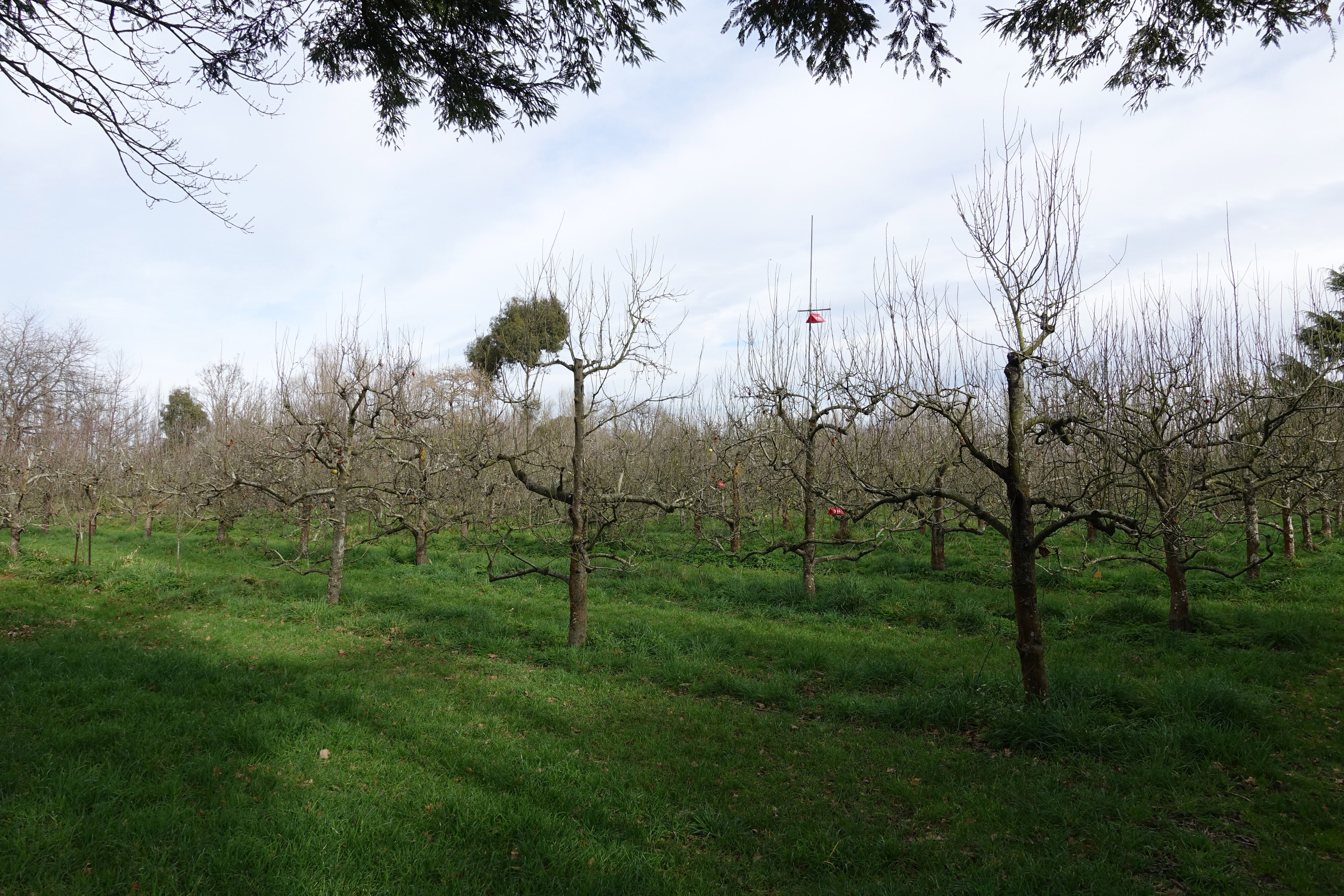 2019 Biological Husbandry Unit 006