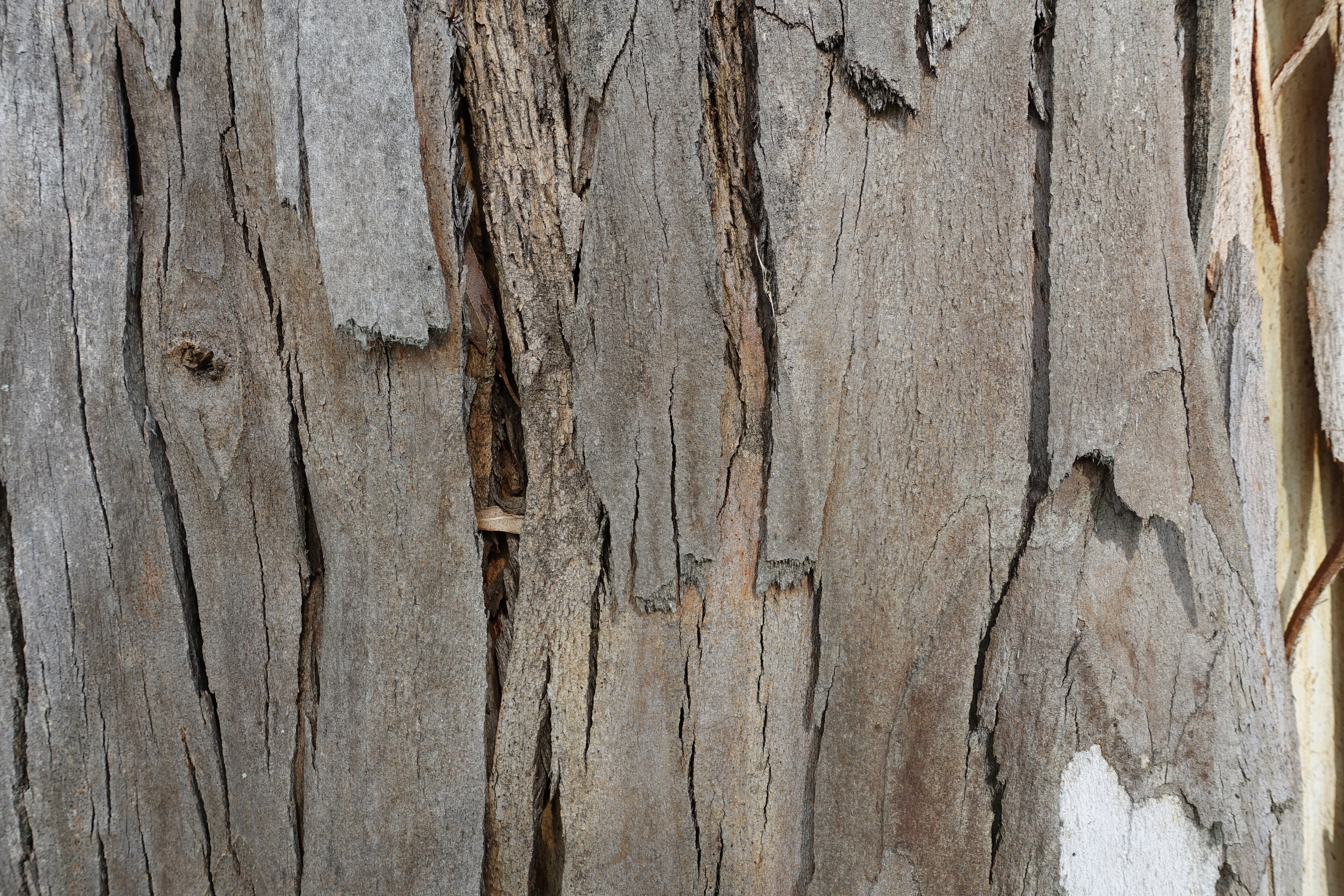 2019 Biological Husbandry Unit 011