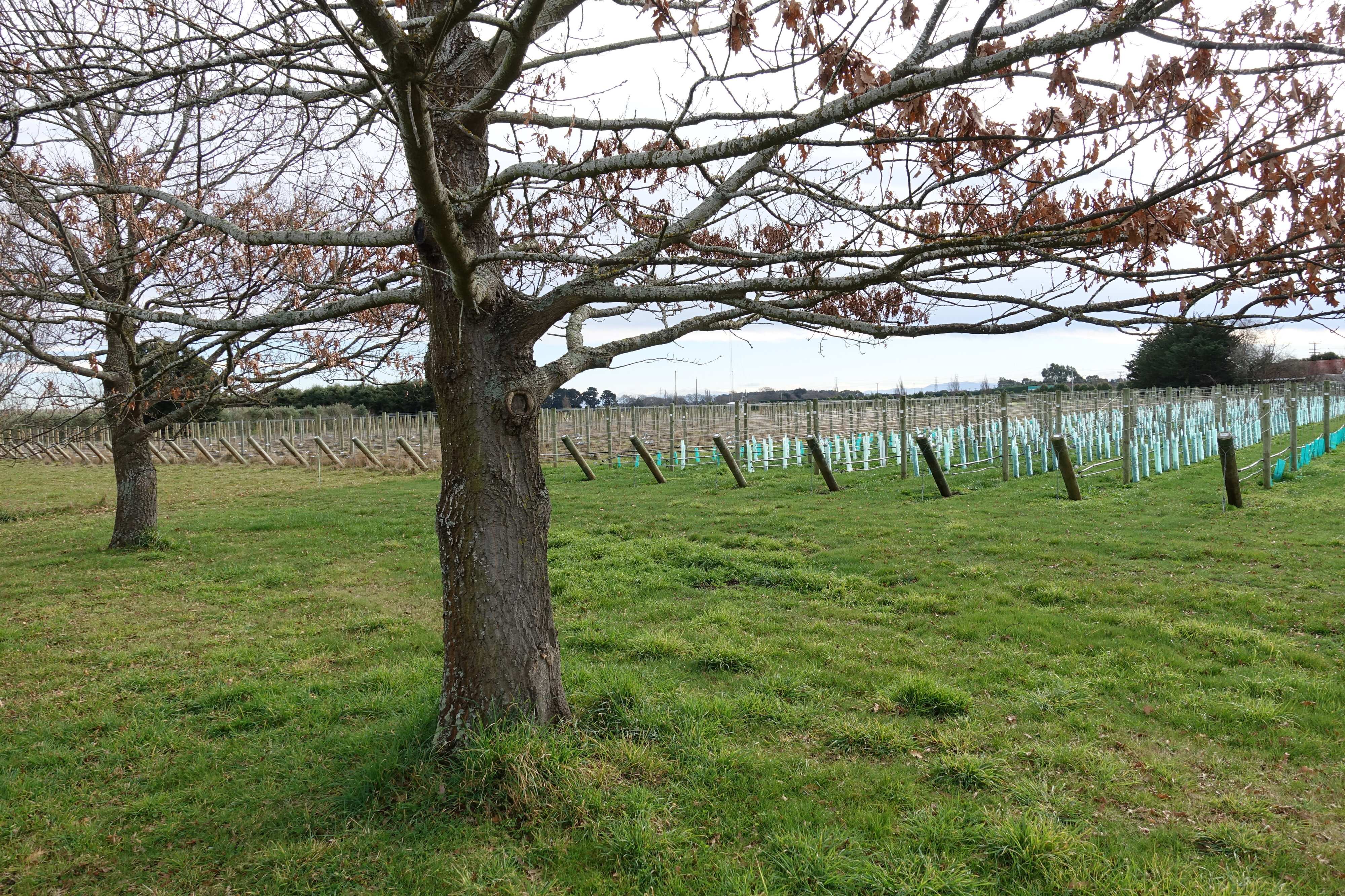 2019 Biological Husbandry Unit 022