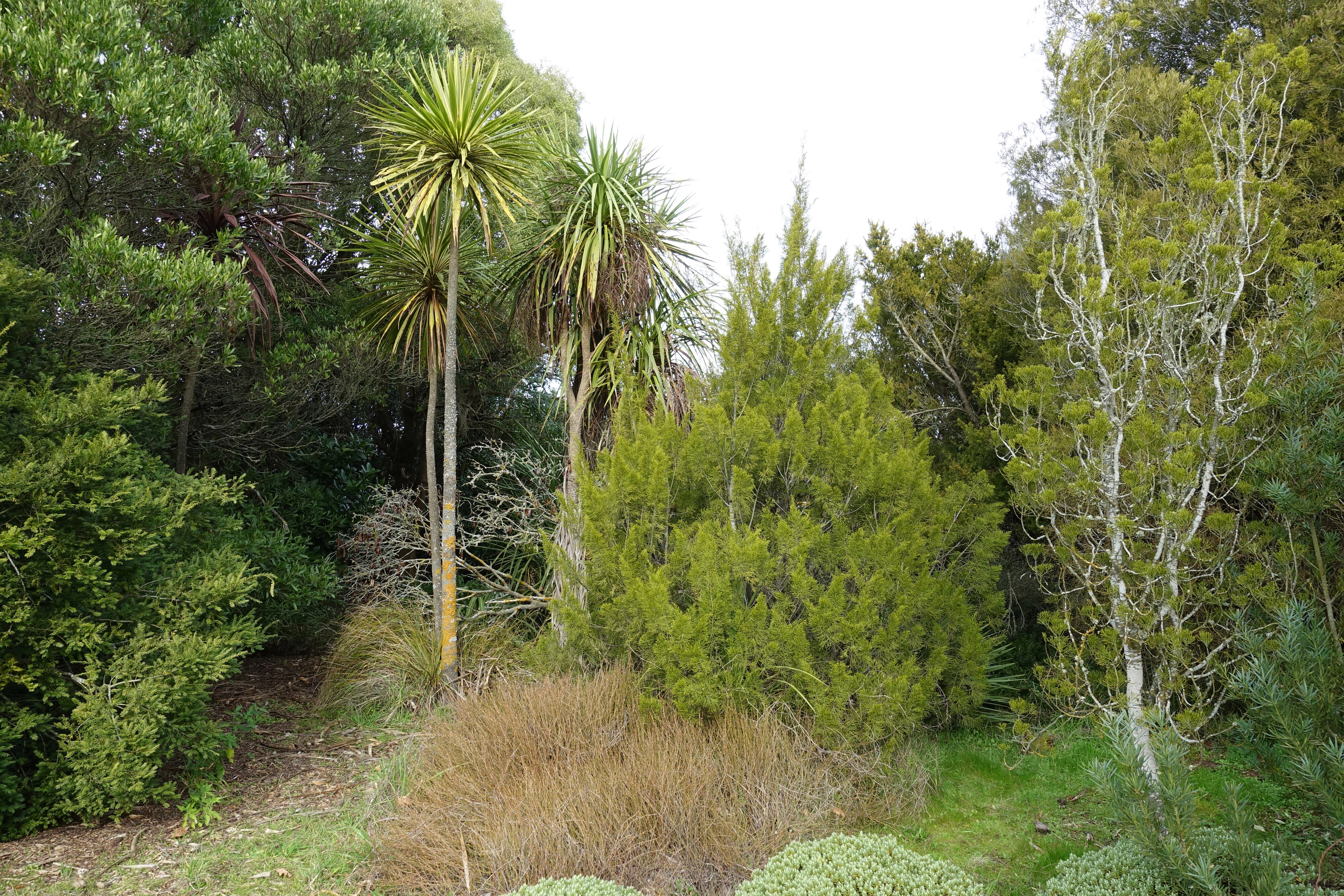 2019 Biological Husbandry Unit 023