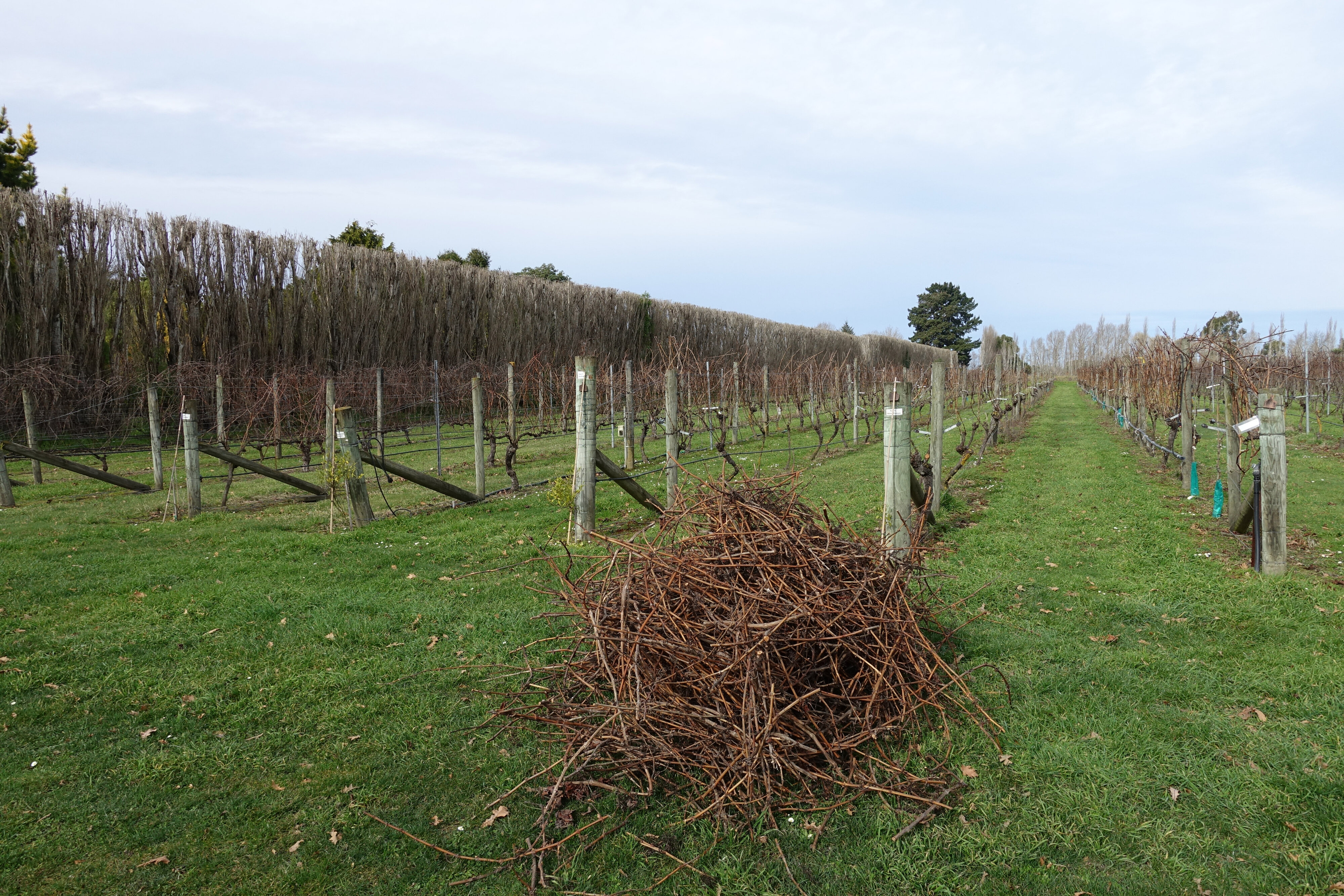 2019 Biological Husbandry Unit 027