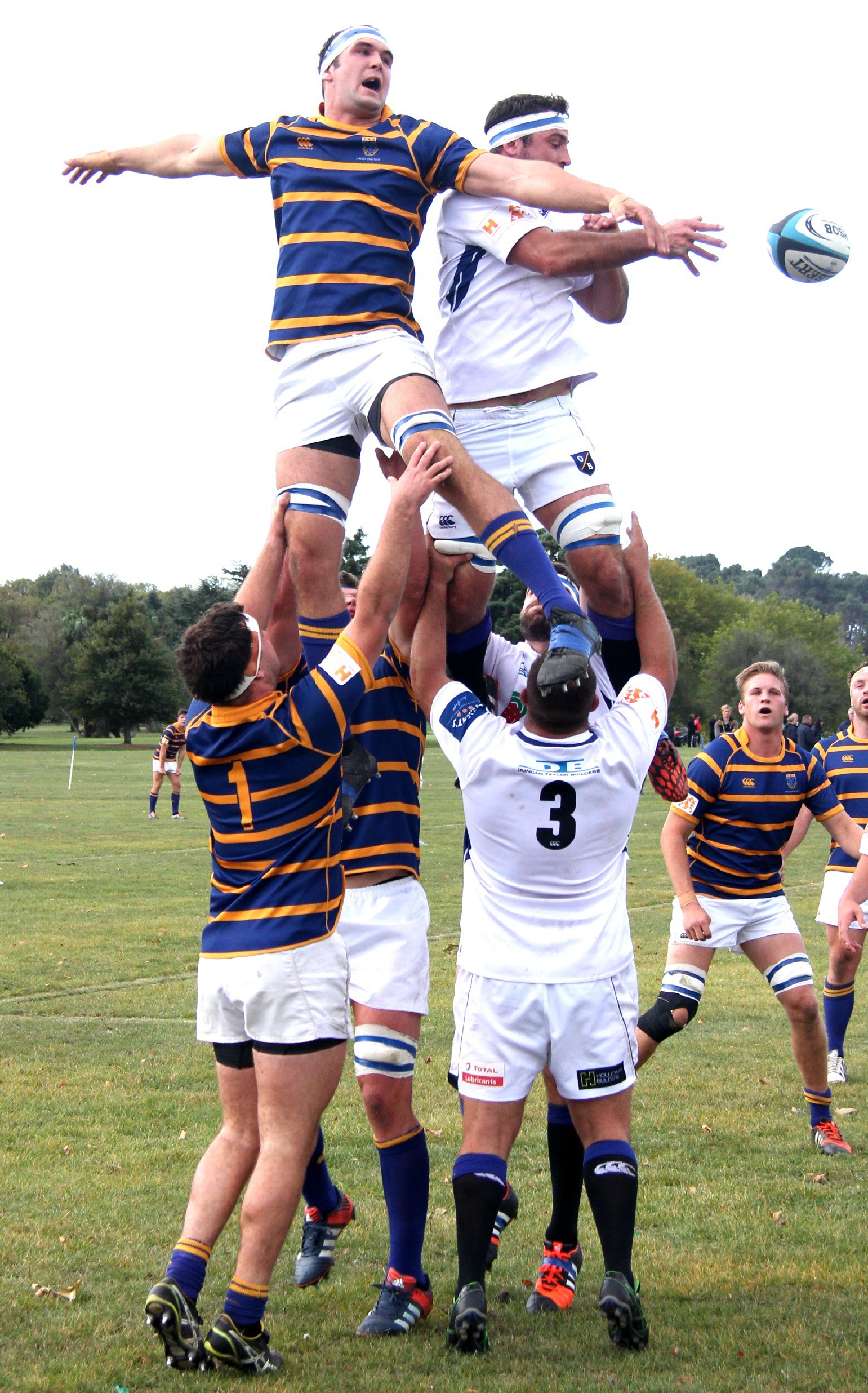 Hamish Dalzell rises high for Lincoln University