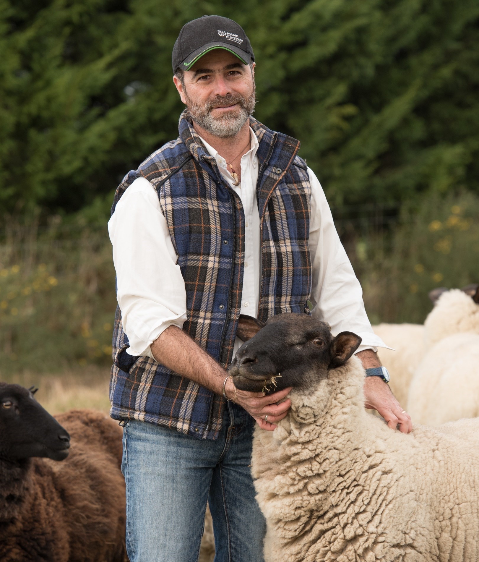 Livestock Production Professor Pablo Gregorini 