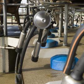 Telford milking platform