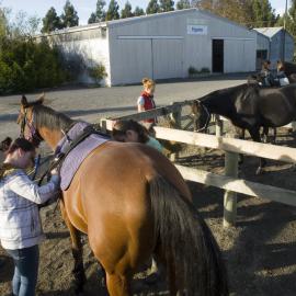 Telford saddling up in Equine yard