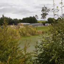 Telford view towards glasshouses