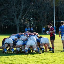 2025 Lincoln College Rugby Reunion Saturday  240