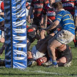 2025 LCRFC Reunion Rugby Games 113