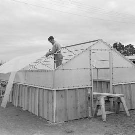 Construction of a greenhouse at Canterbury Agricultural College, Circa 1962