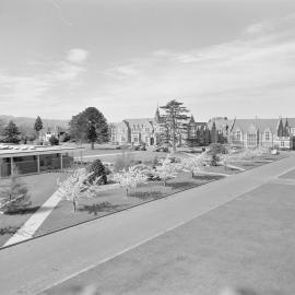 Newly opened George Forbes Memorial Library with Ivey Hall and Memorial Hall in the distance, Canterbury Agricultural College, 1960