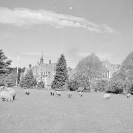 Ivey Hall and Memorial Hall, Canterbury Agricultural College, Nov 1939 (Blackmore Neg5051)