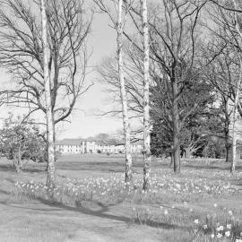 Hudson Hall with spring flowering grounds c1961 (Blackmore Neg 5125)