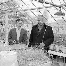 Mr B.R. Sen, Director-General, F.A.O., Rome, discusses grass studies with Professor R.H.M. Langer 1960 (Blackmore Neg 5142)