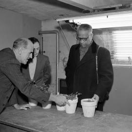 A visit to the Plant Science laboratory by C.E.Iversen, R.H.Langer and Dr Sen 1960 (Blackmore Neg 5144)